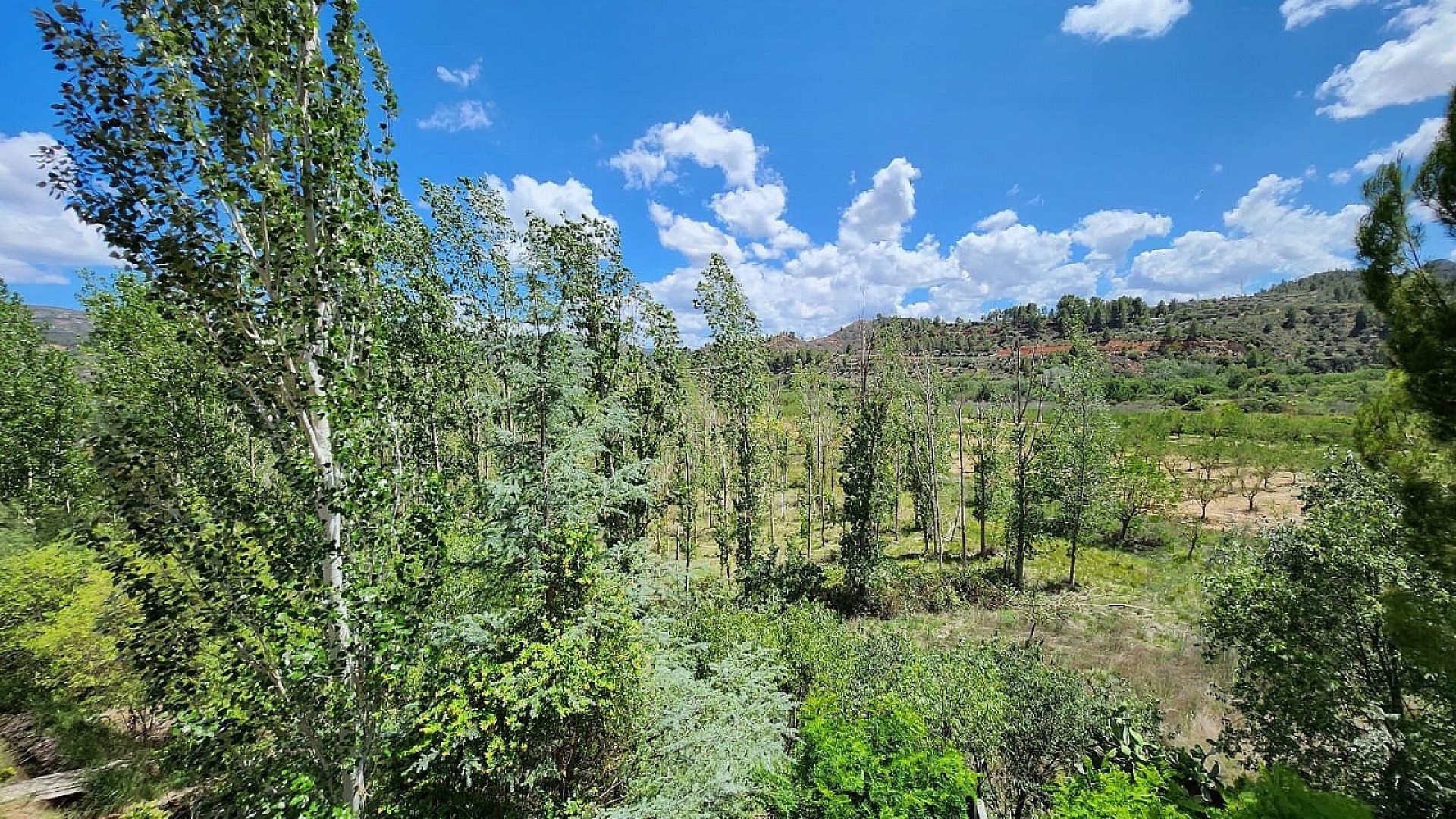 Återförsäljning - Finca lantlig egendom -
Jalance