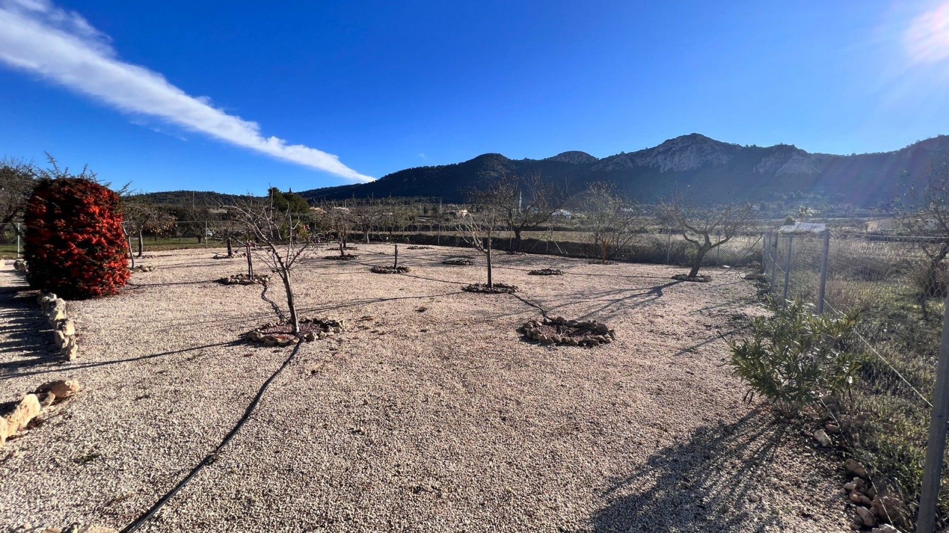 Återförsäljning - Finca lantlig egendom -
La Zarza