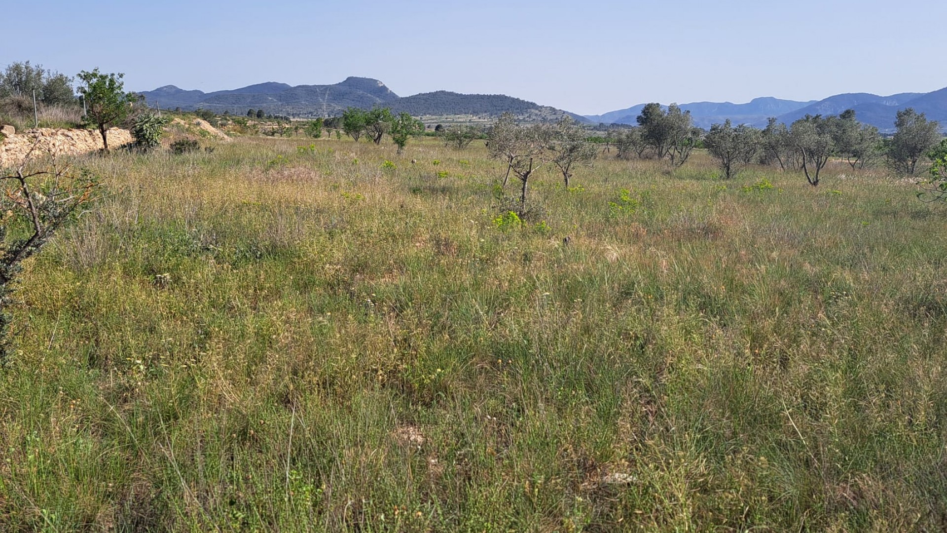 Återförsäljning - Finca lantlig egendom -
Monóvar