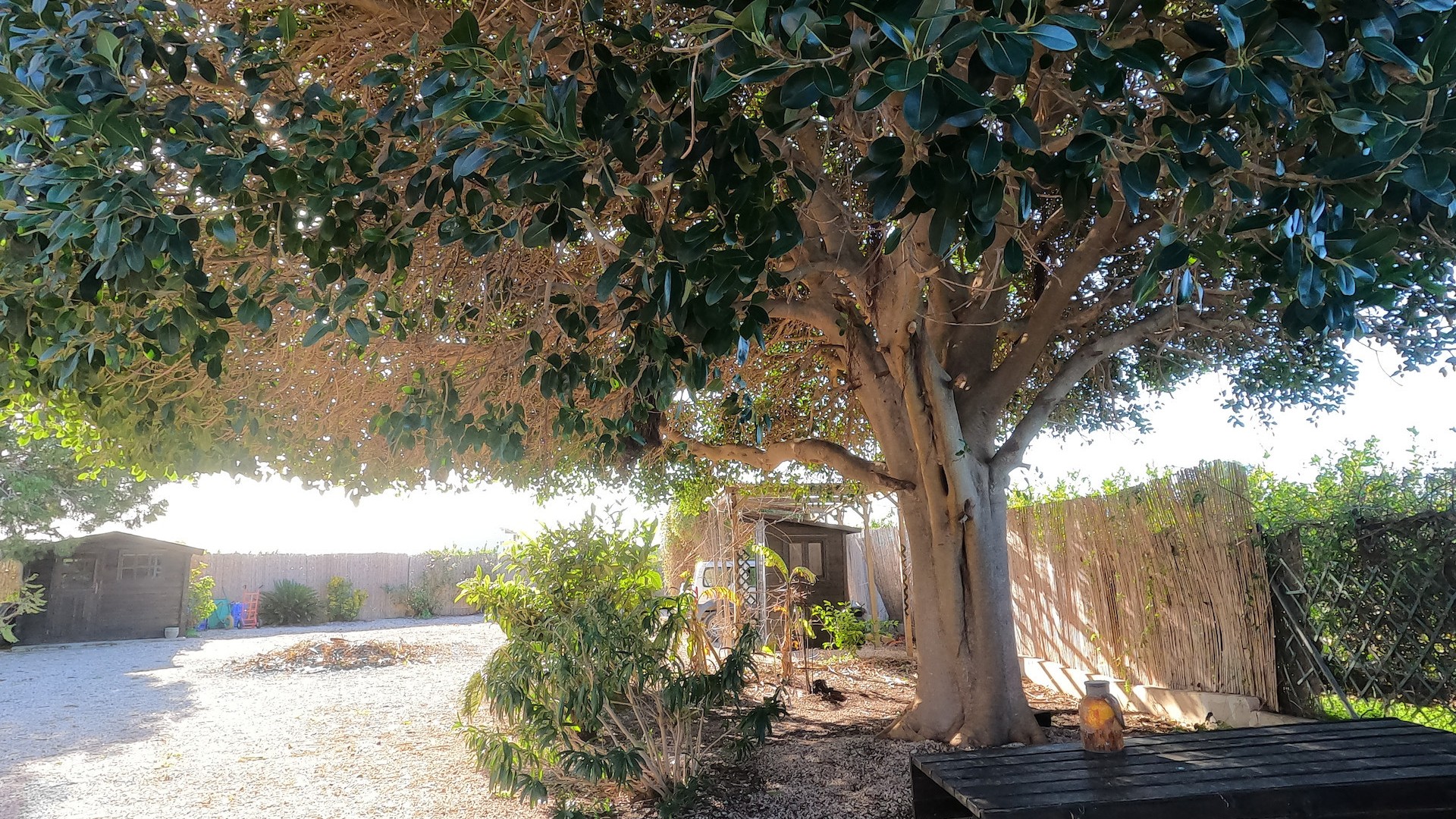 Återförsäljning - Finca lantlig egendom -
Orihuela