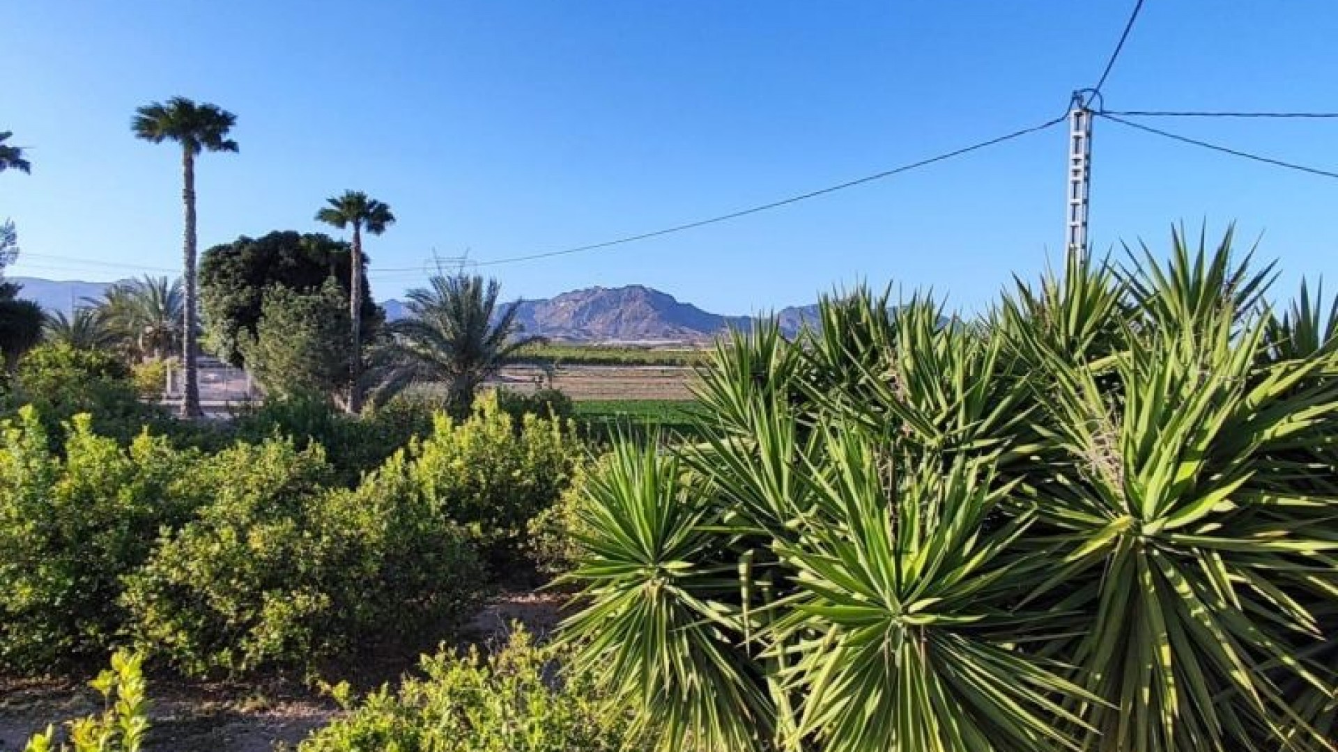 Återförsäljning - Finca lantlig egendom -
Orihuela