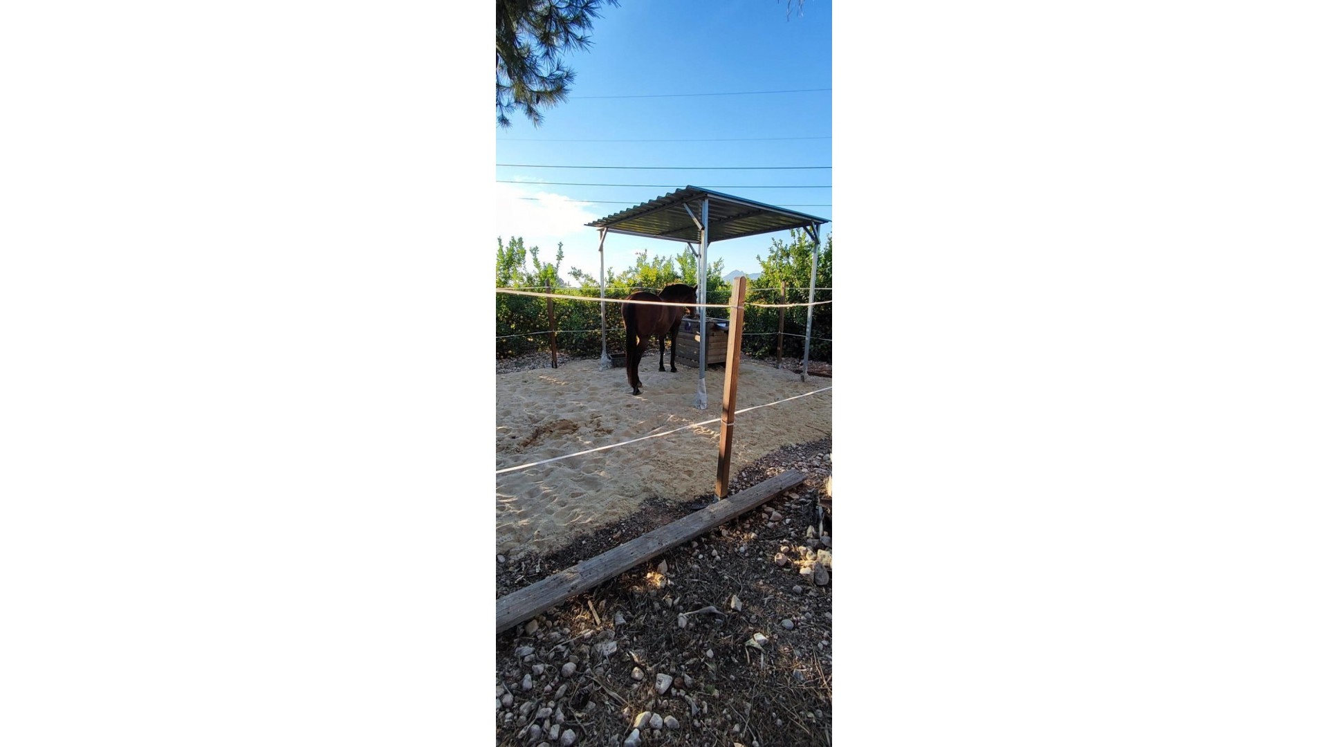 Återförsäljning - Finca lantlig egendom -
Orihuela