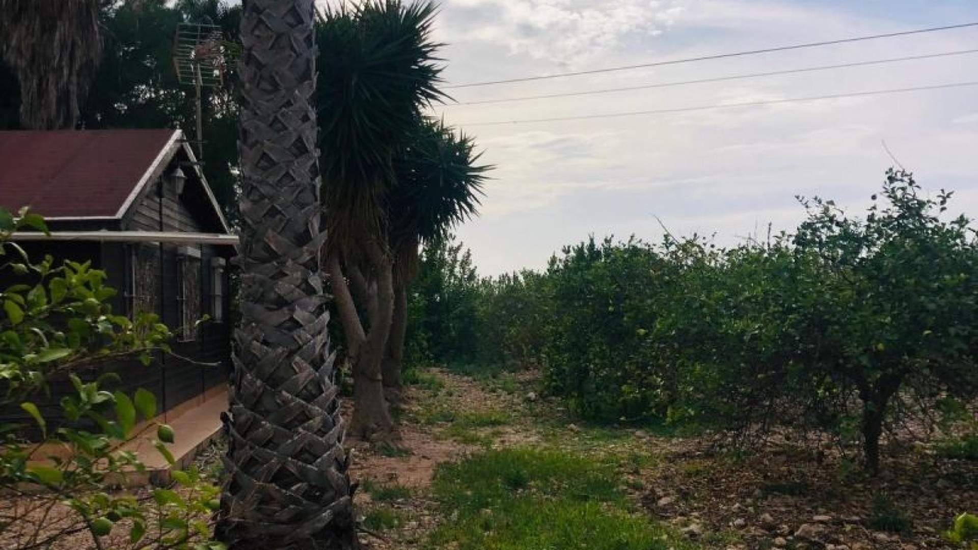 Återförsäljning - Finca lantlig egendom -
Orihuela