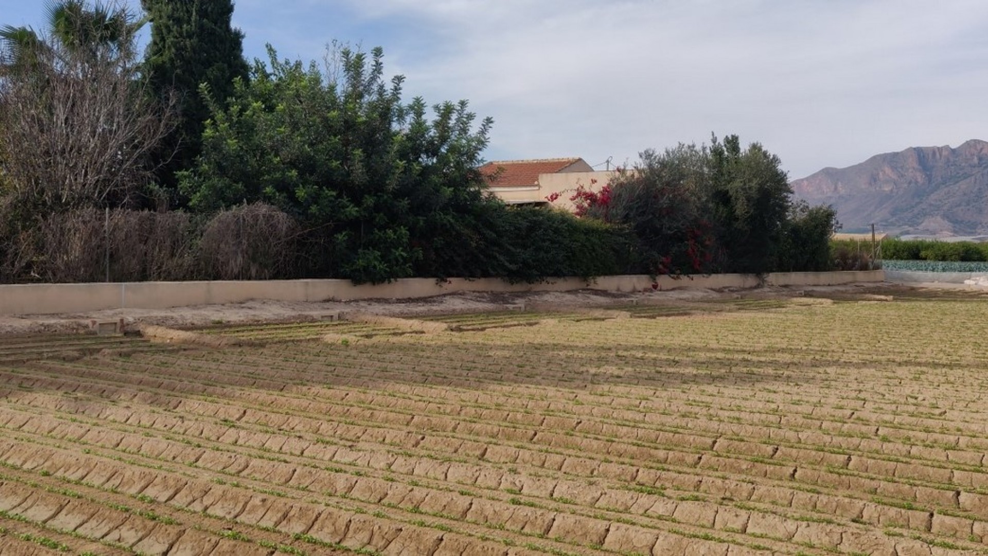 Återförsäljning - Finca lantlig egendom -
Orihuela