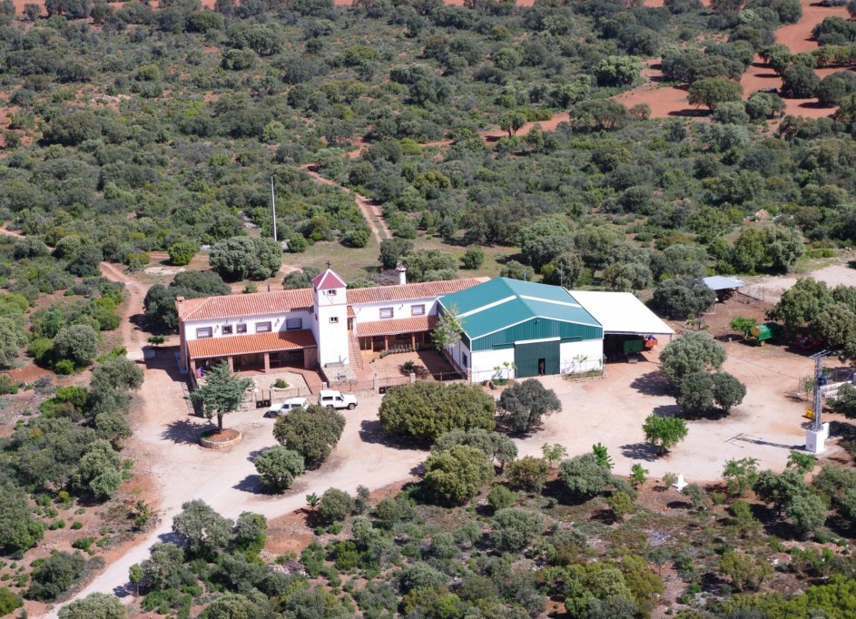 Återförsäljning - Finca lantlig egendom -
Ossa de Montiel - Lagunas de ruidera