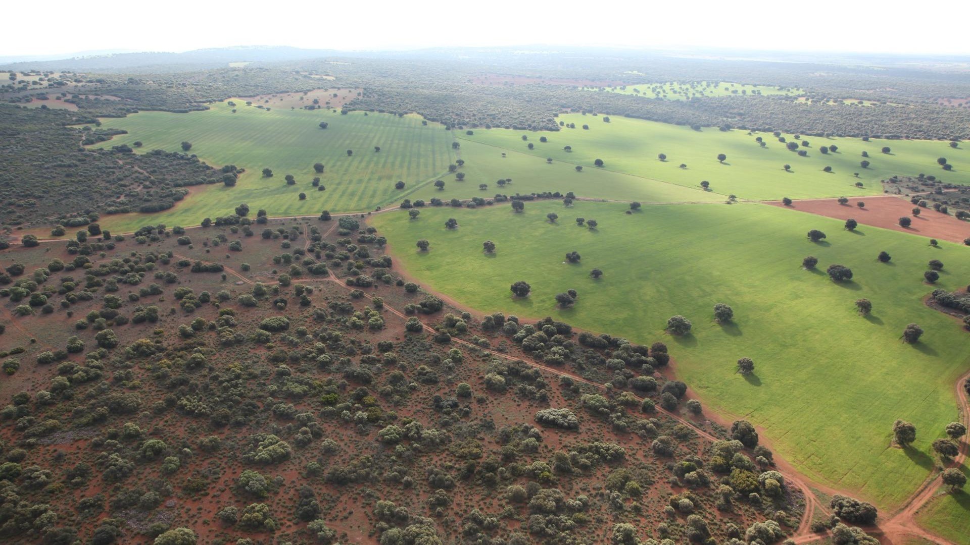Återförsäljning - Finca lantlig egendom -
Ossa de Montiel - Lagunas de ruidera