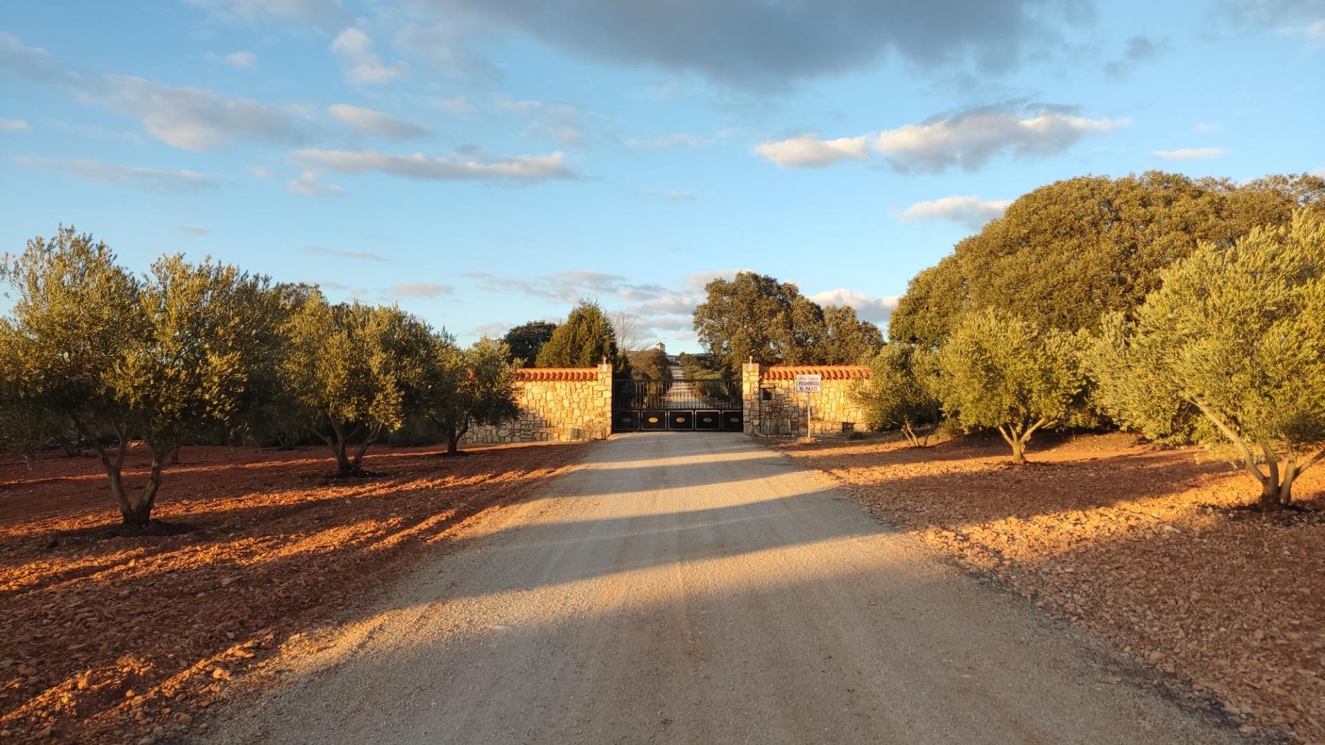 Återförsäljning - Finca lantlig egendom -
Ossa de Montiel - Lagunas de ruidera