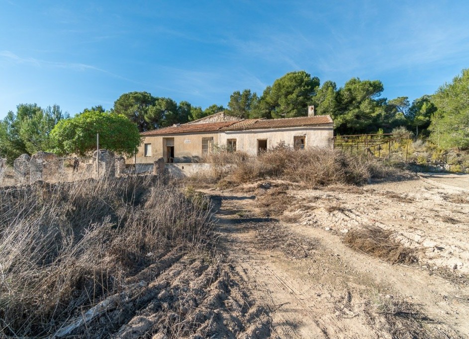 Återförsäljning - Finca lantlig egendom -
Pilar de la Horadada - Pinar de la Perdiz