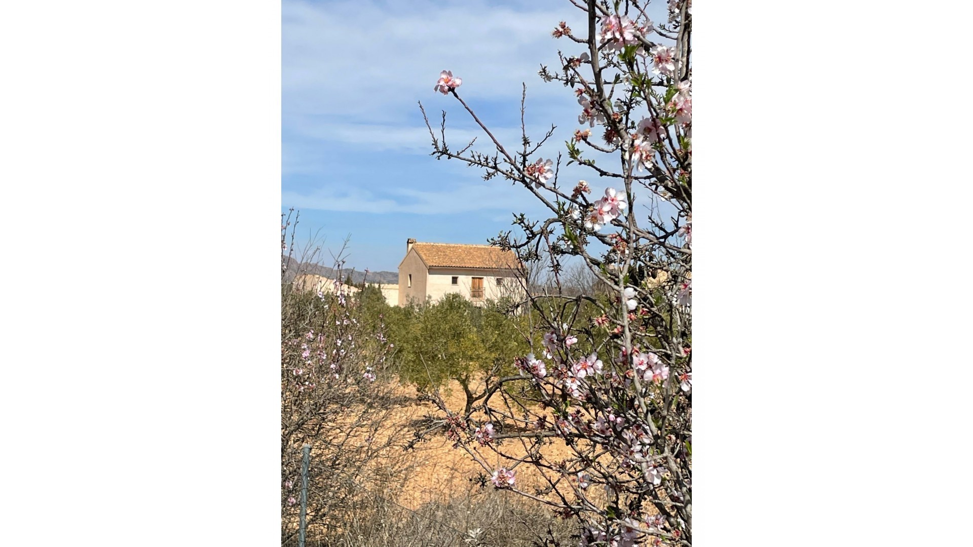 Återförsäljning - Finca lantlig egendom -
Raspay - Raspay Murcia