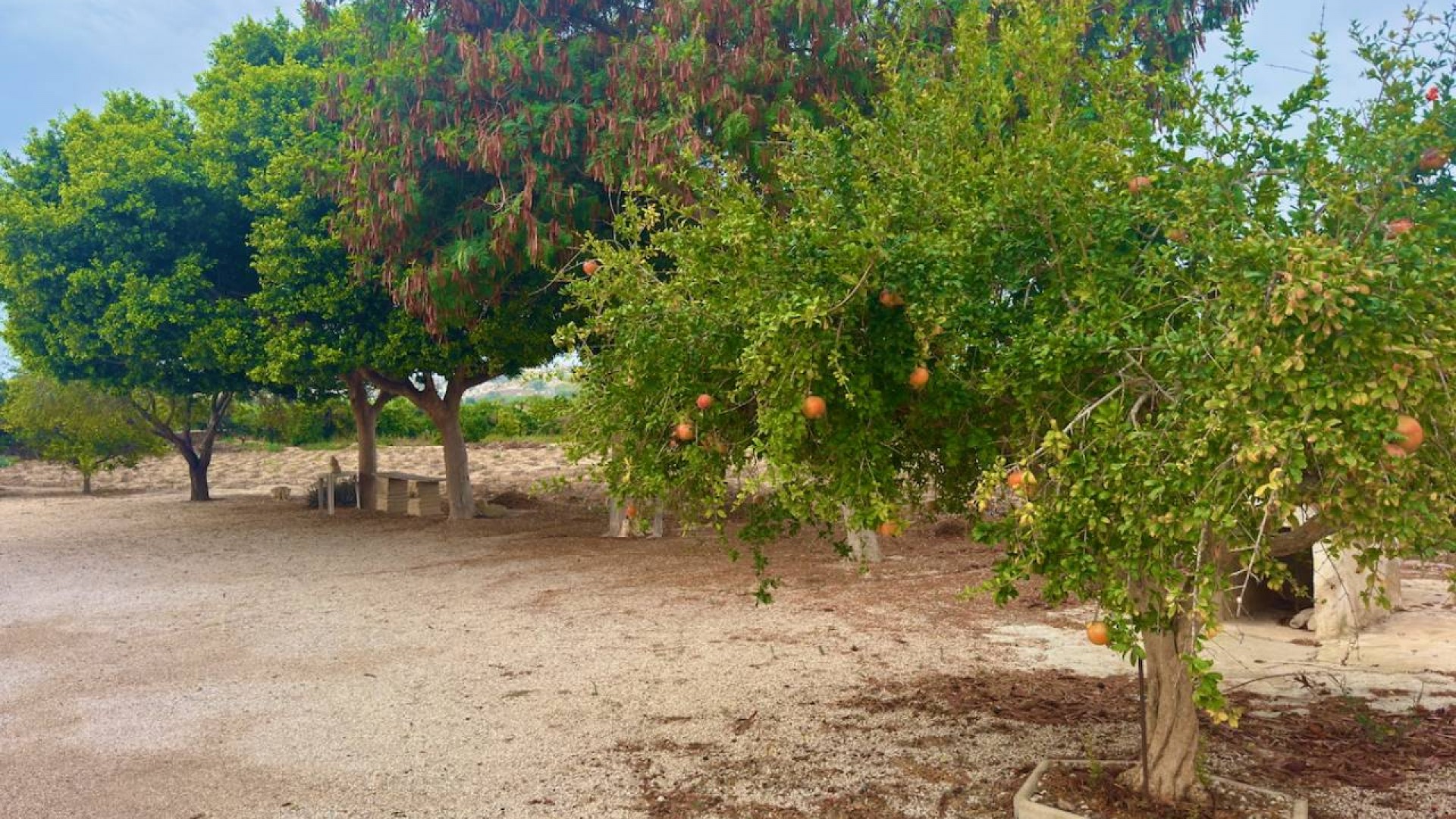 Återförsäljning - Finca lantlig egendom -
Rojales - Cuidad Quesada