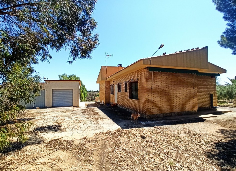 Återförsäljning - Finca lantlig egendom -
SAN VICENTE DEL RASPIG