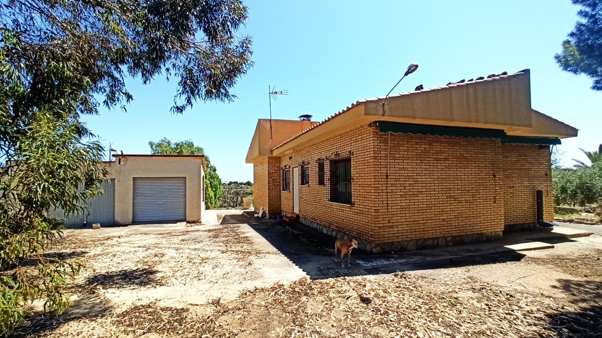 Återförsäljning - Finca lantlig egendom -
SAN VICENTE DEL RASPIG
