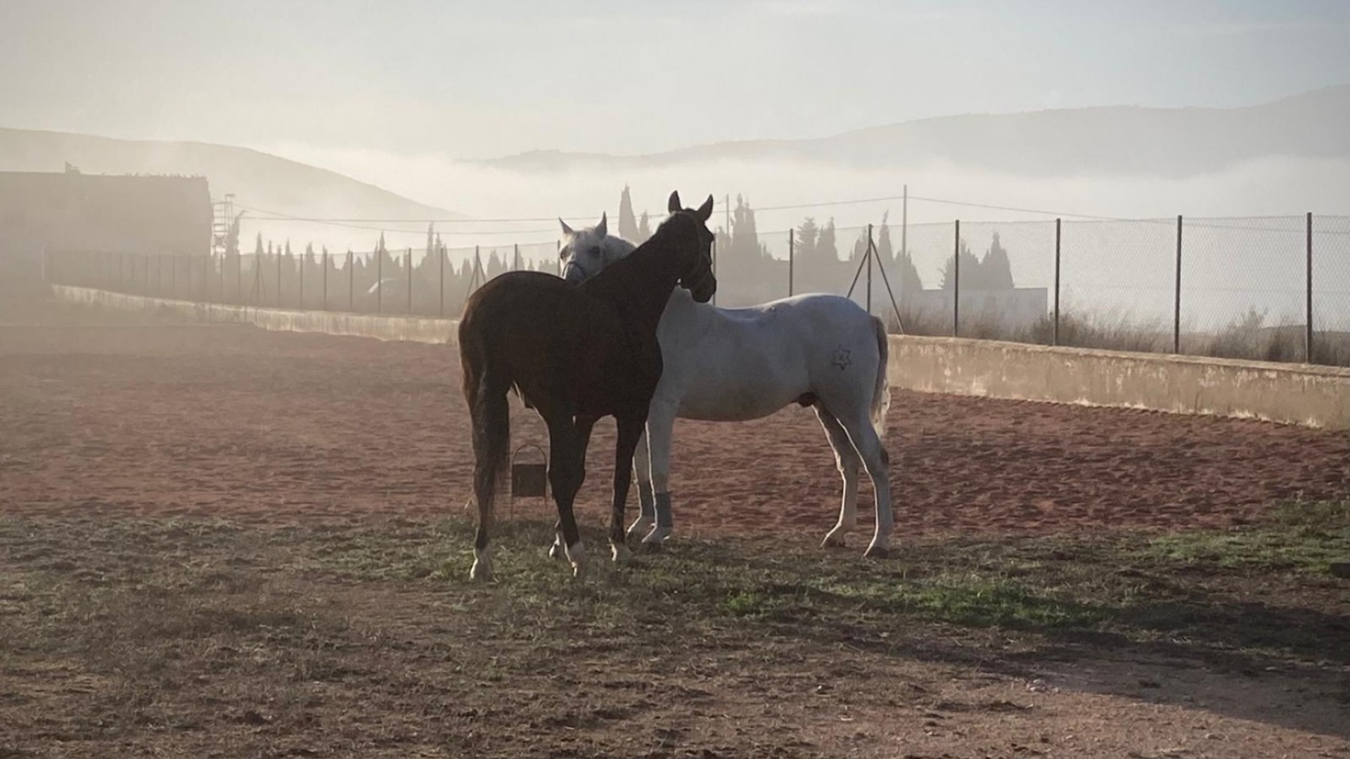 Återförsäljning - Finca lantlig egendom -
Torre del Rico - Torre Del Rico