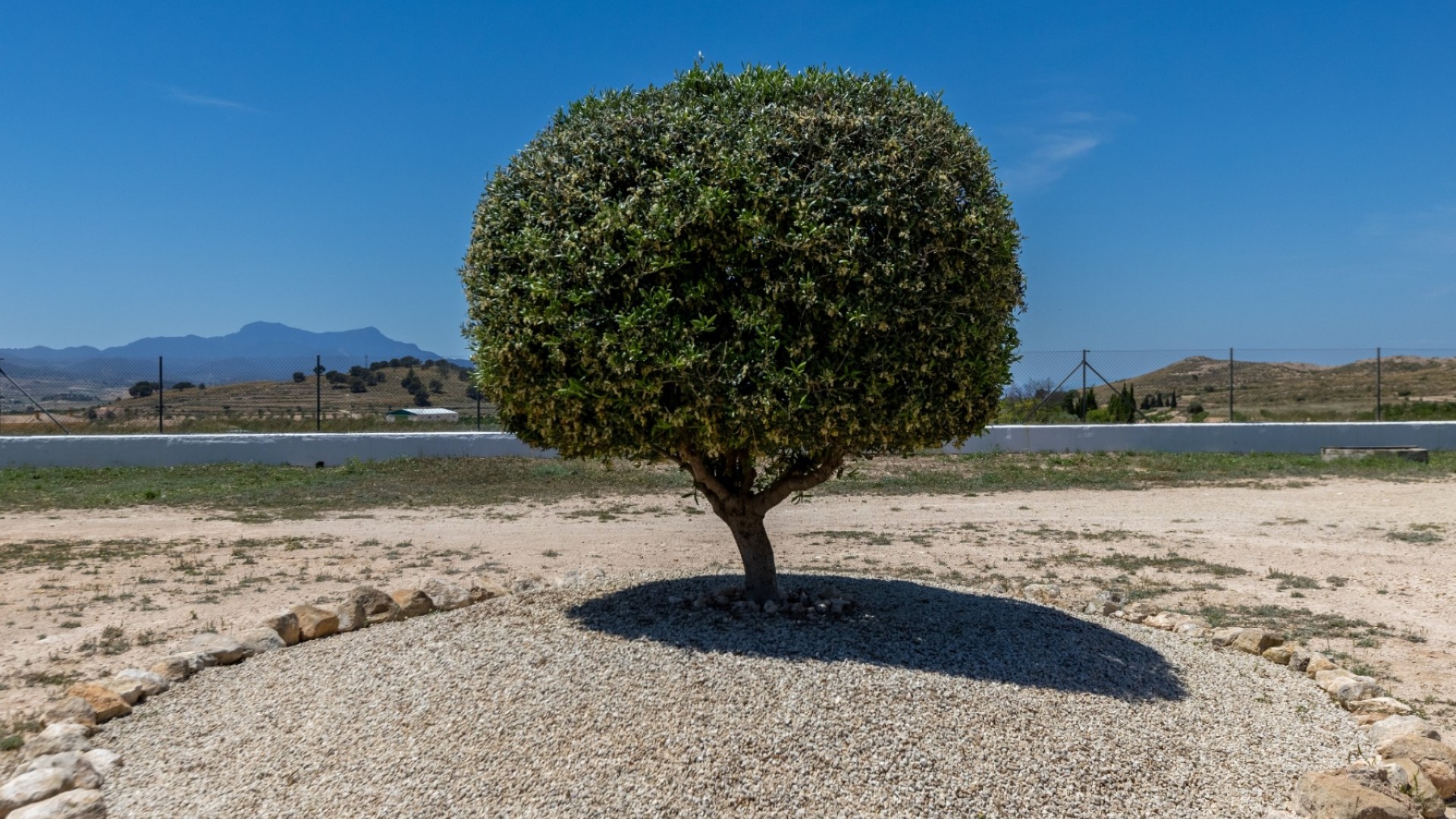 Återförsäljning - Finca lantlig egendom -
Torre del Rico - Torre Del Rico