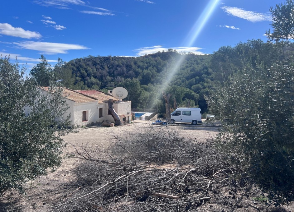Återförsäljning - Finca lantlig egendom -
Torremendo