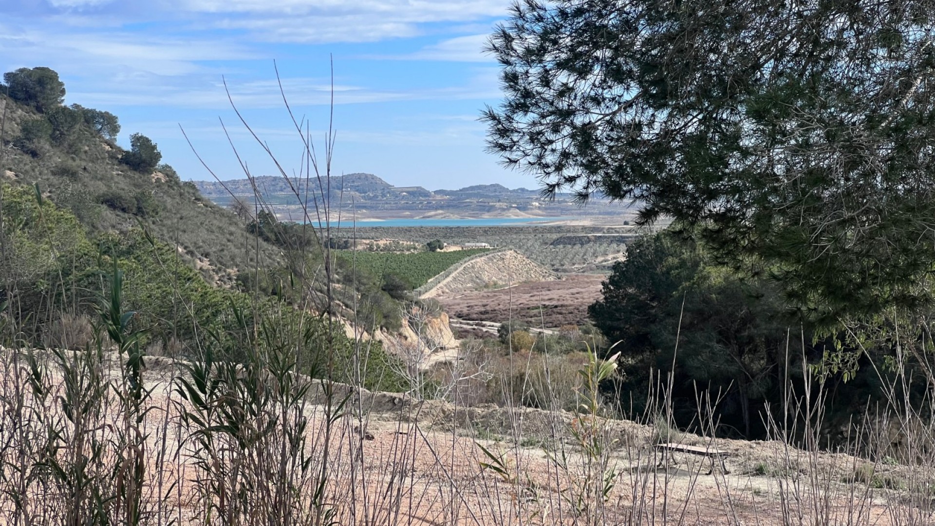 Återförsäljning - Finca lantlig egendom -
Torremendo