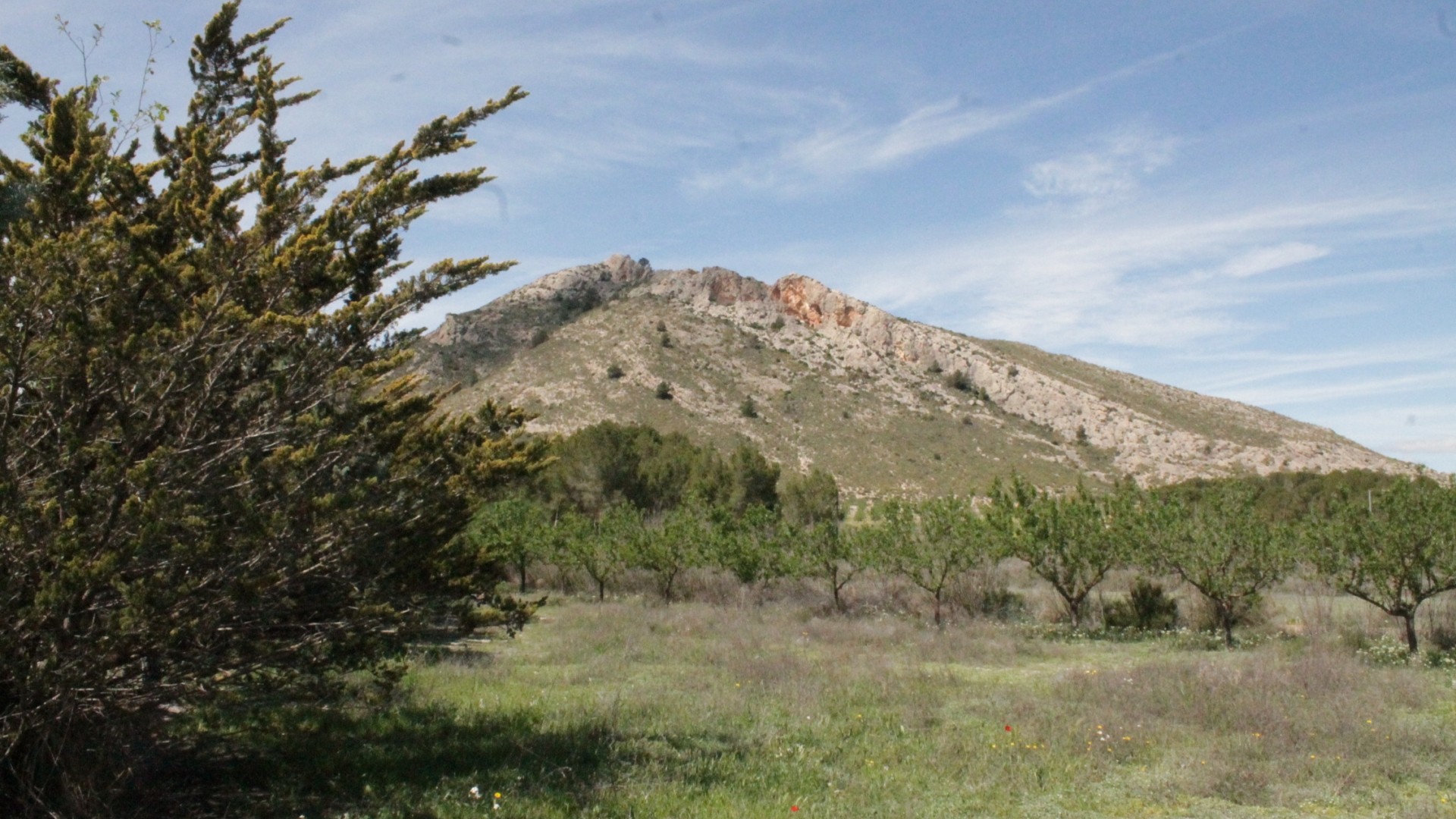 Återförsäljning - Finca lantlig egendom -
Villena - Villena Alicante