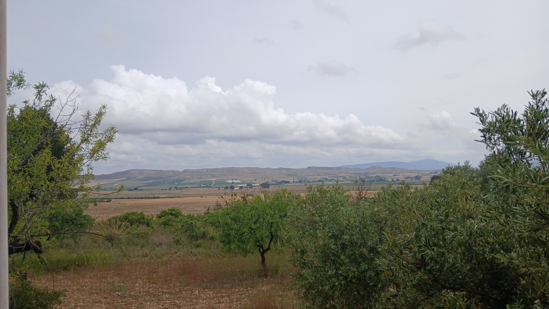 Återförsäljning - Finca lantlig egendom -
Yecla