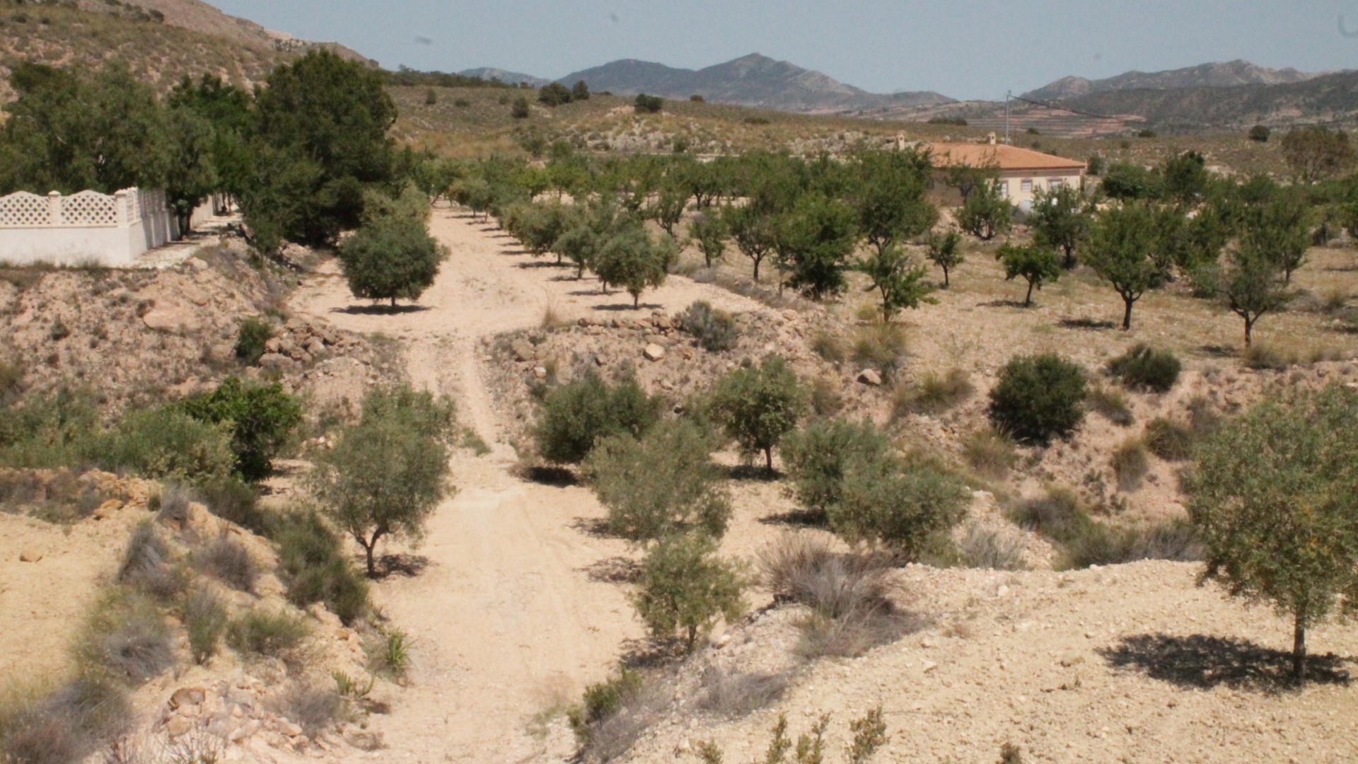 Återförsäljning - Fristående villa -
Abanilla - Abanilla Murcia