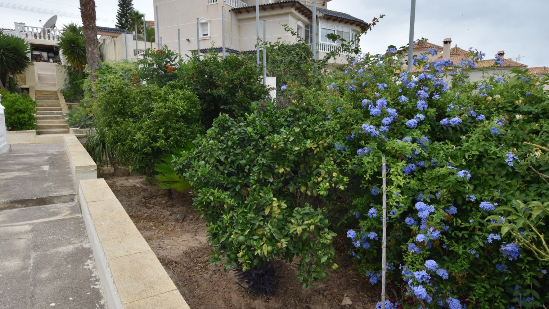 Återförsäljning - Fristående villa -
Algorfa - Montemar