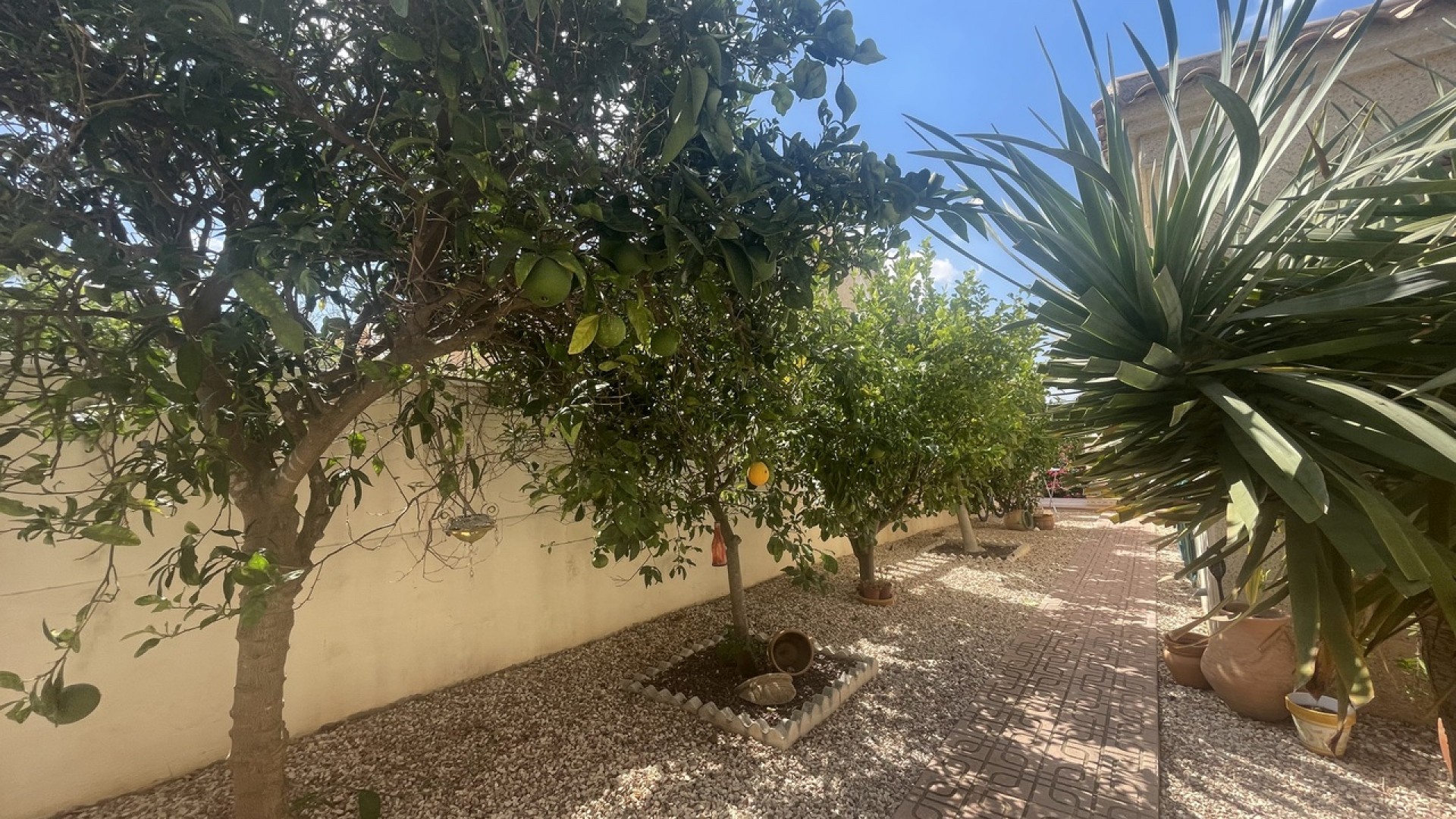 Återförsäljning - Fristående villa -
Algorfa