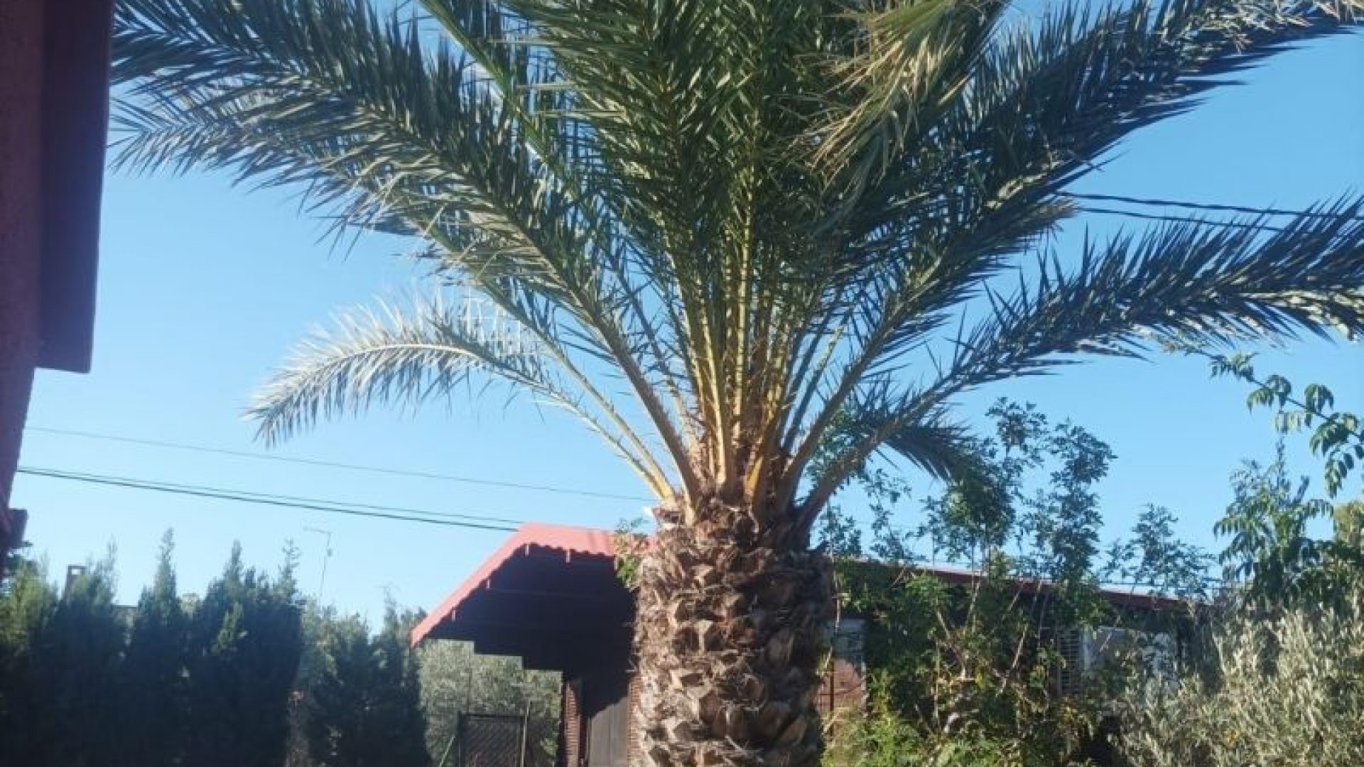 Återförsäljning - Fristående villa -
Elche