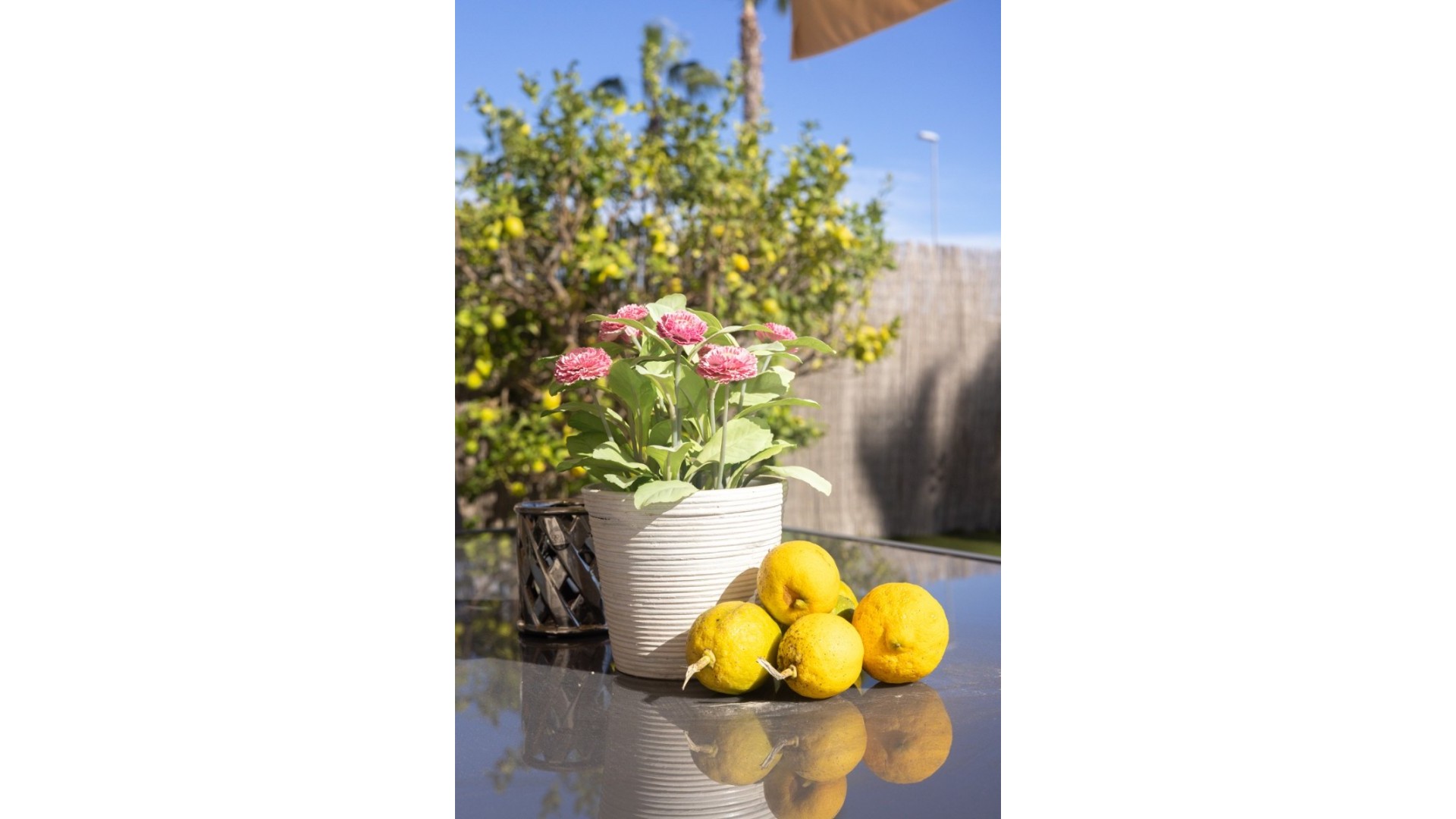 Återförsäljning - Fristående villa -
Entre Naranjos - Vistabella Golf - Entre Naranjos - Vistabella