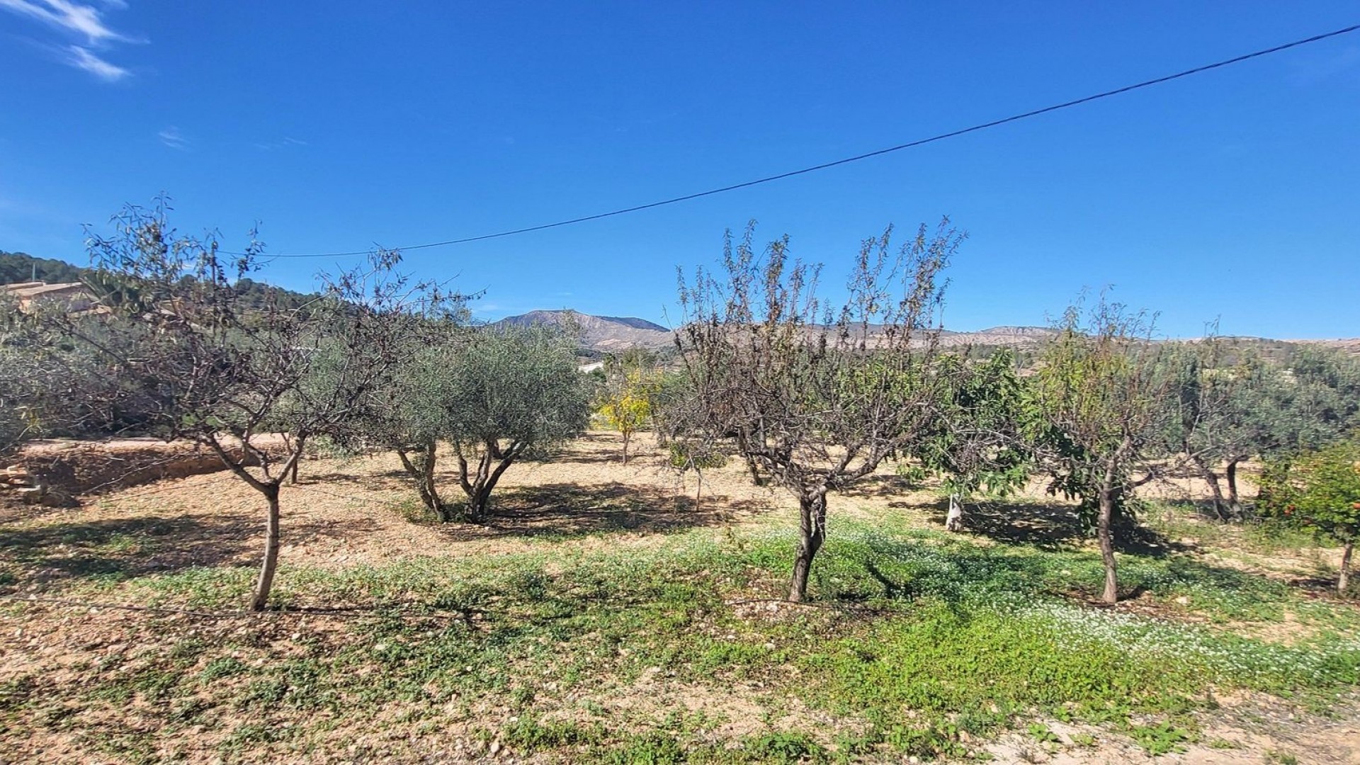 Återförsäljning - Fristående villa -
La Romana