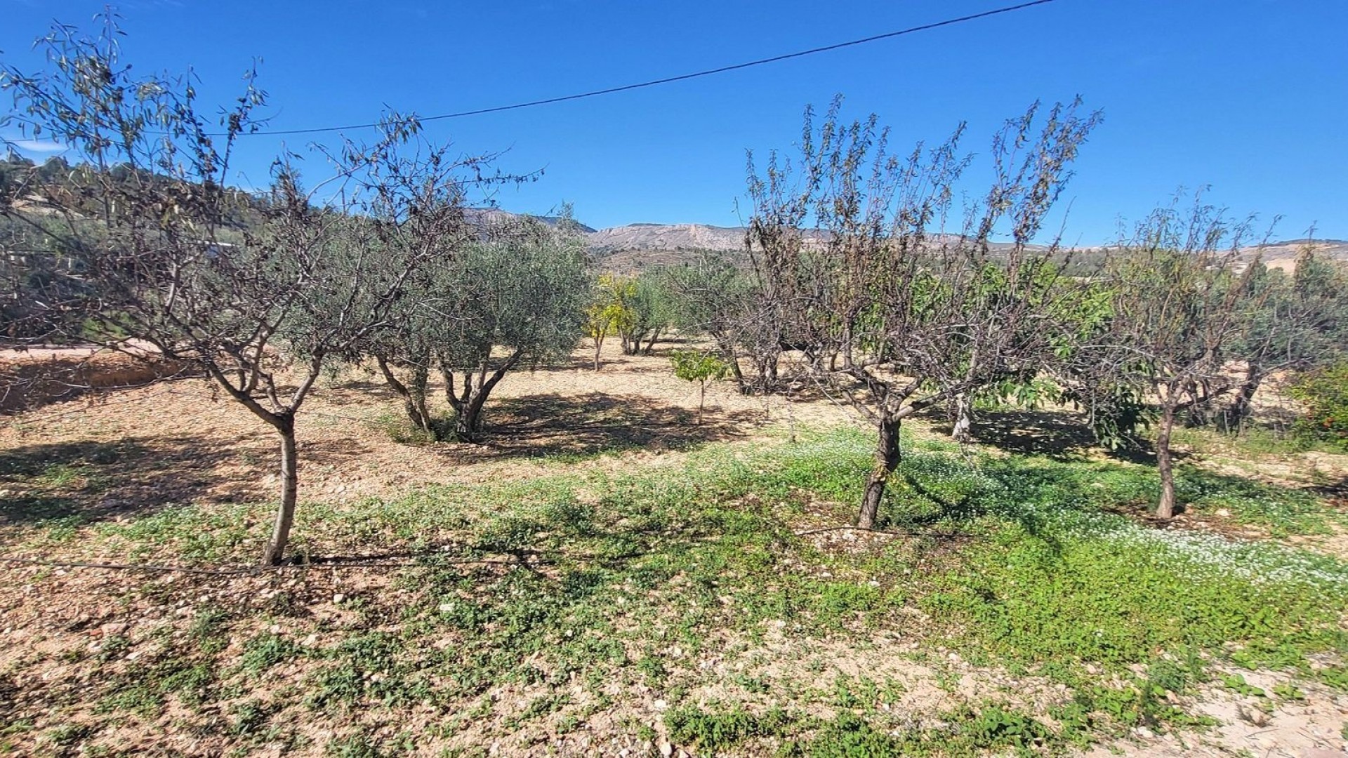 Återförsäljning - Fristående villa -
La Romana