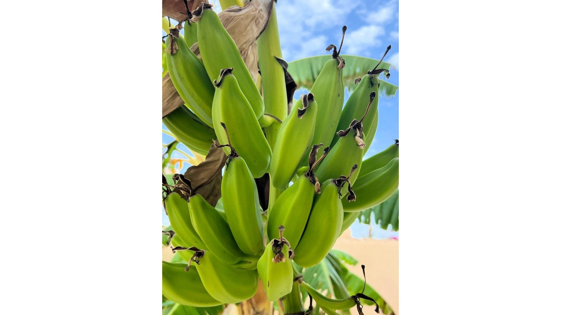 Återförsäljning - Fristående villa -
Los Urrutias - ESTRELLA DE MAR