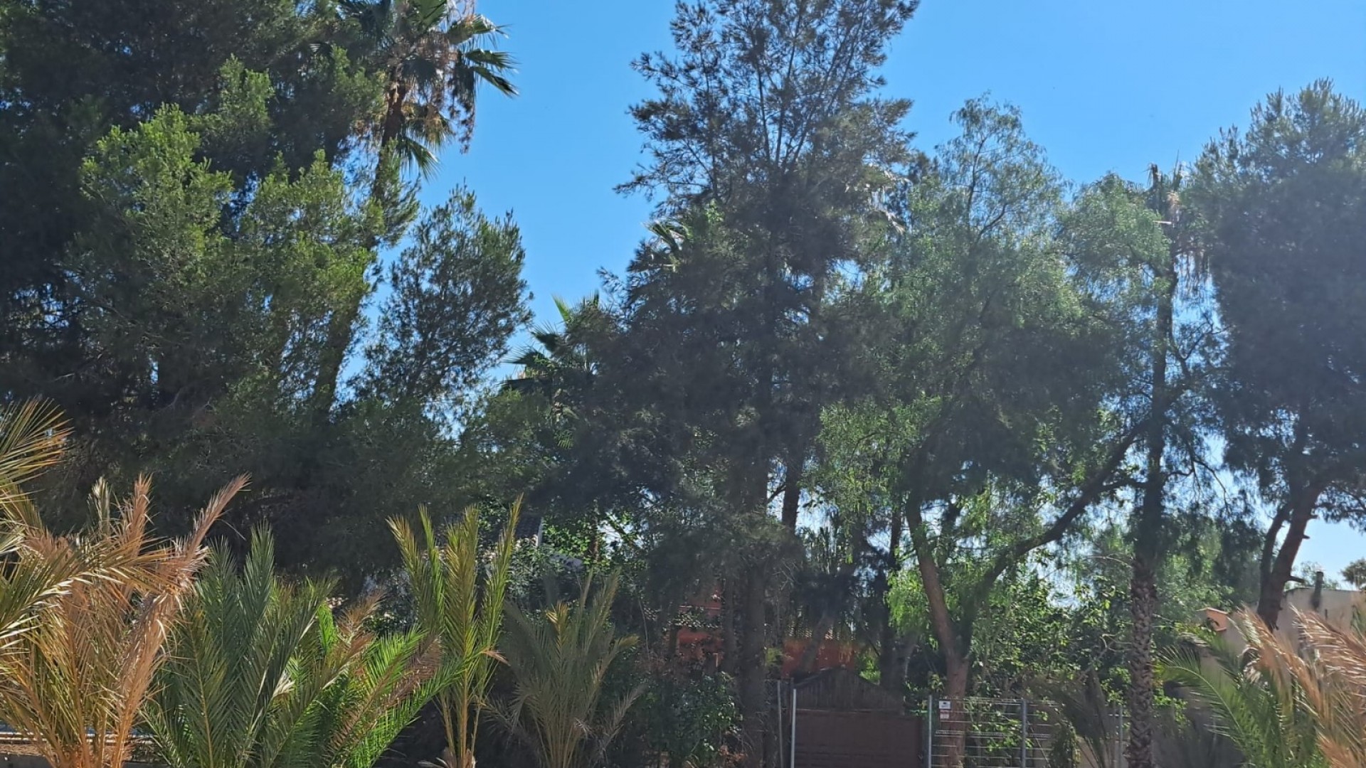 Återförsäljning - Fristående villa -
Orihuela