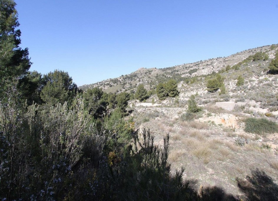 Återförsäljning - Fristående villa -
Petrer