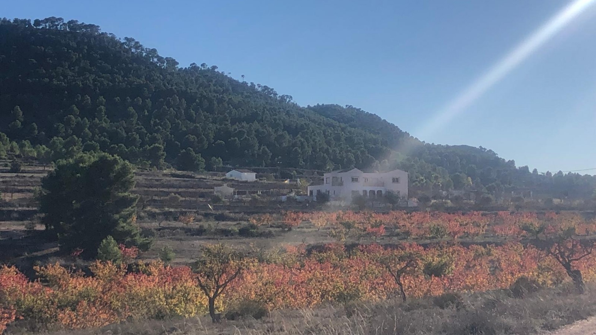 Återförsäljning - Fristående villa -
Pinoso - Pinoso Alicante