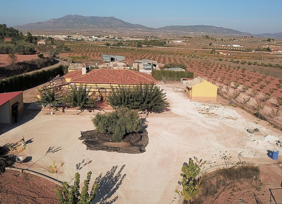 Återförsäljning - Fristående villa -
Pinoso