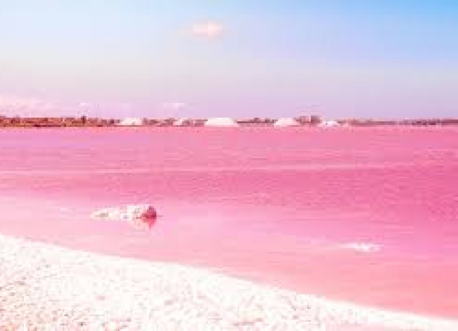 Återförsäljning - Fristående villa -
Torrevieja - 0