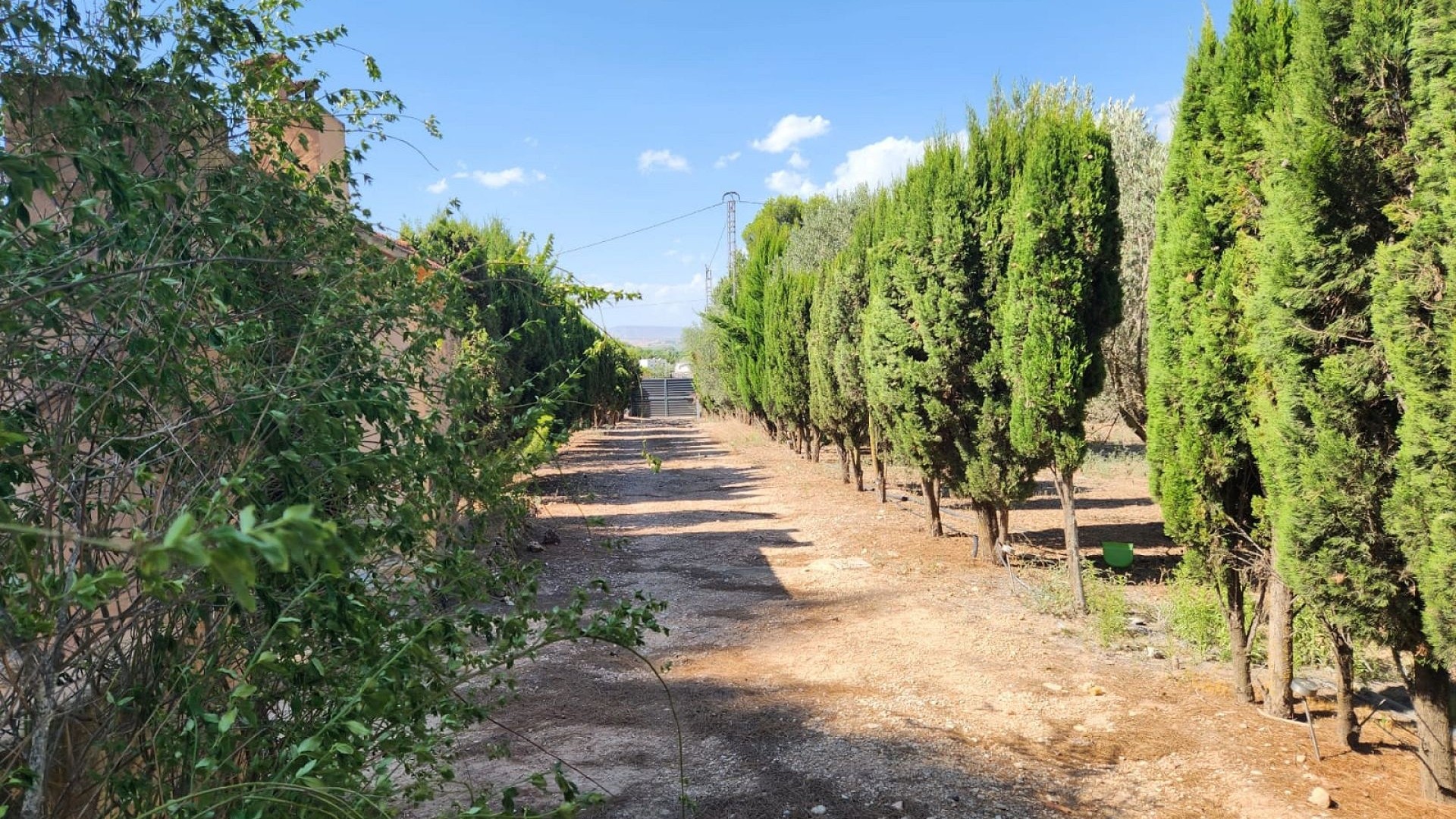 Återförsäljning - Fristående villa -
Villena