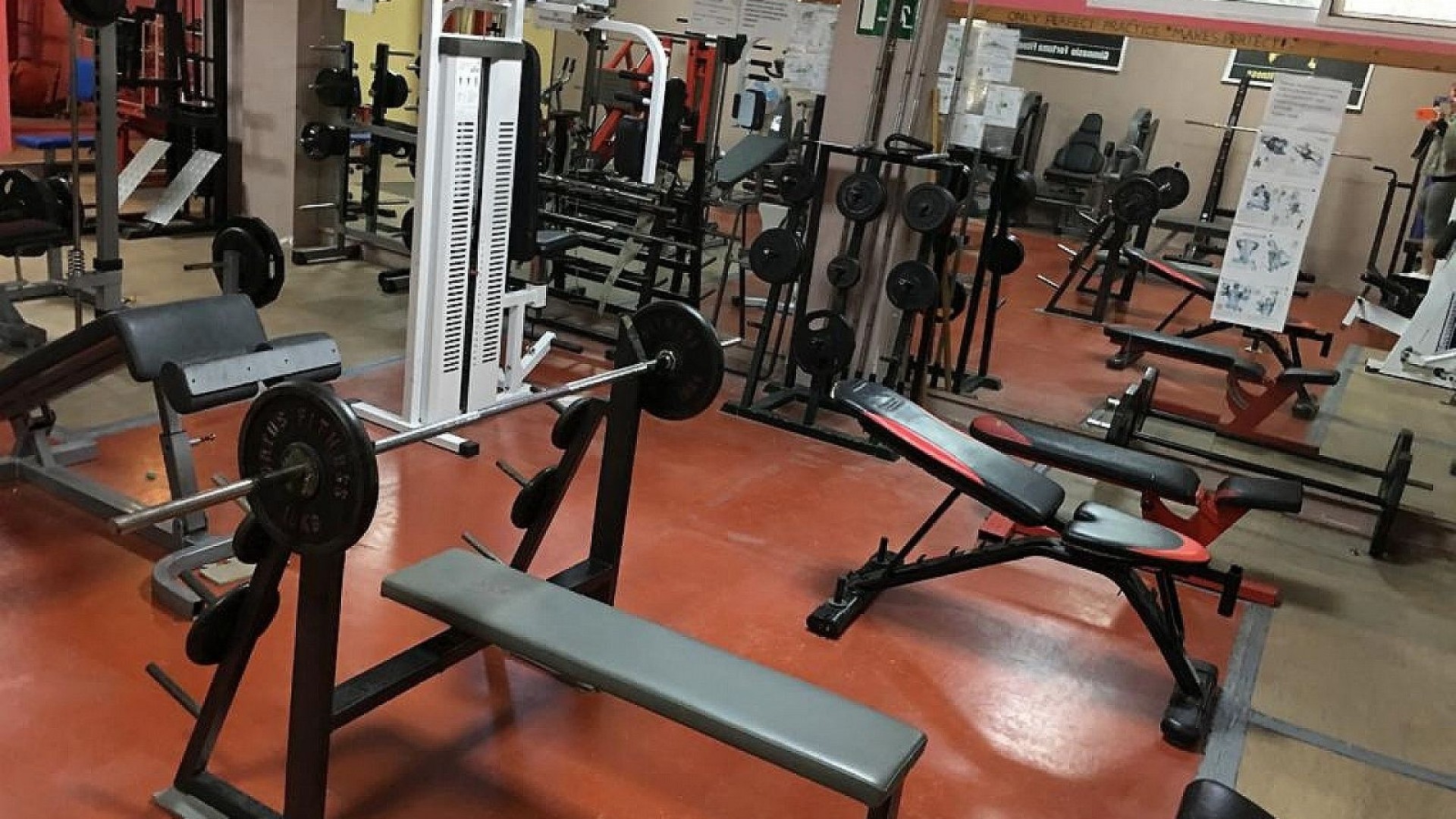 Återförsäljning - Kommersiell -
Fortuna