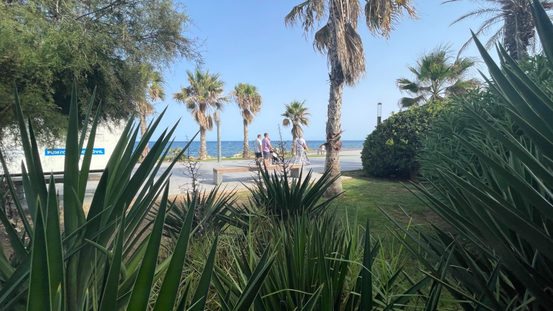 Återförsäljning - Kommersiell -
Torrevieia - Comunidad Valenciana