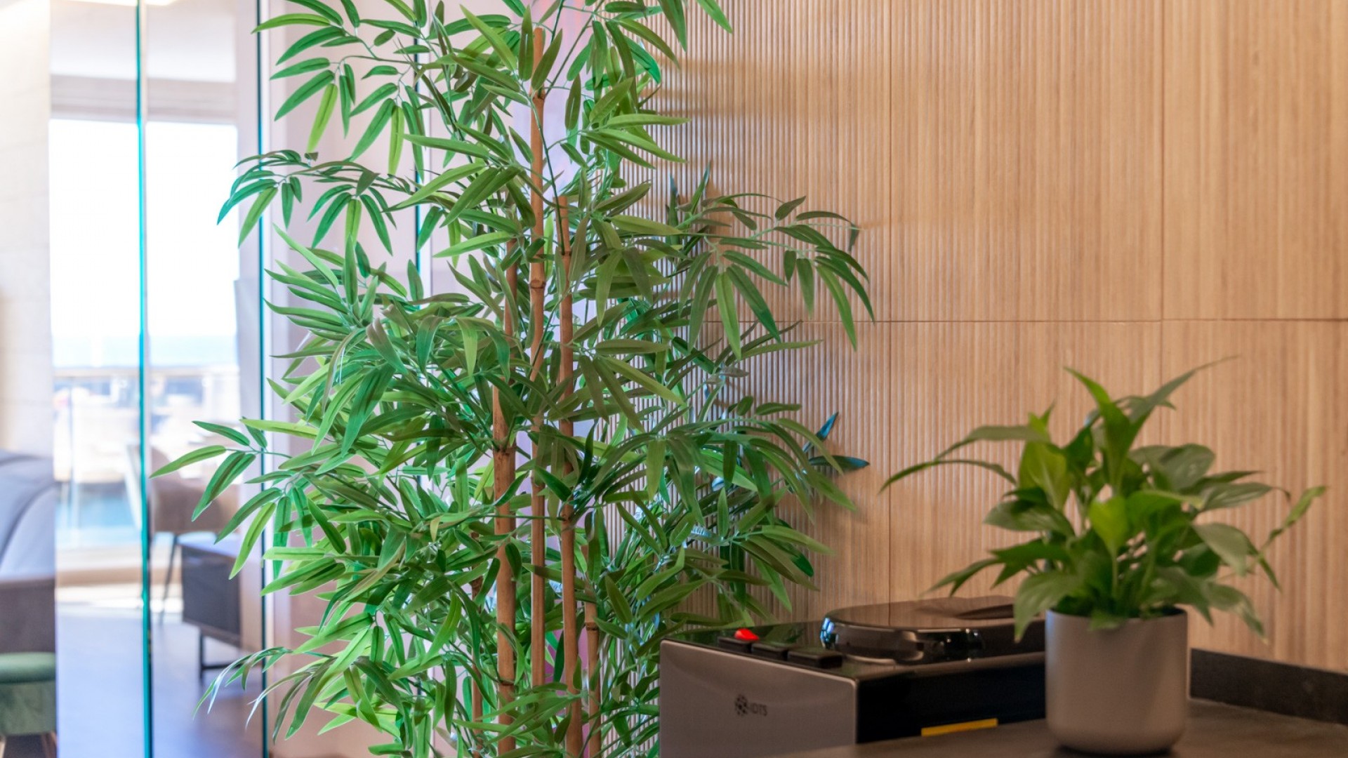 Återförsäljning - Lägenhet lägenhet -
Altea