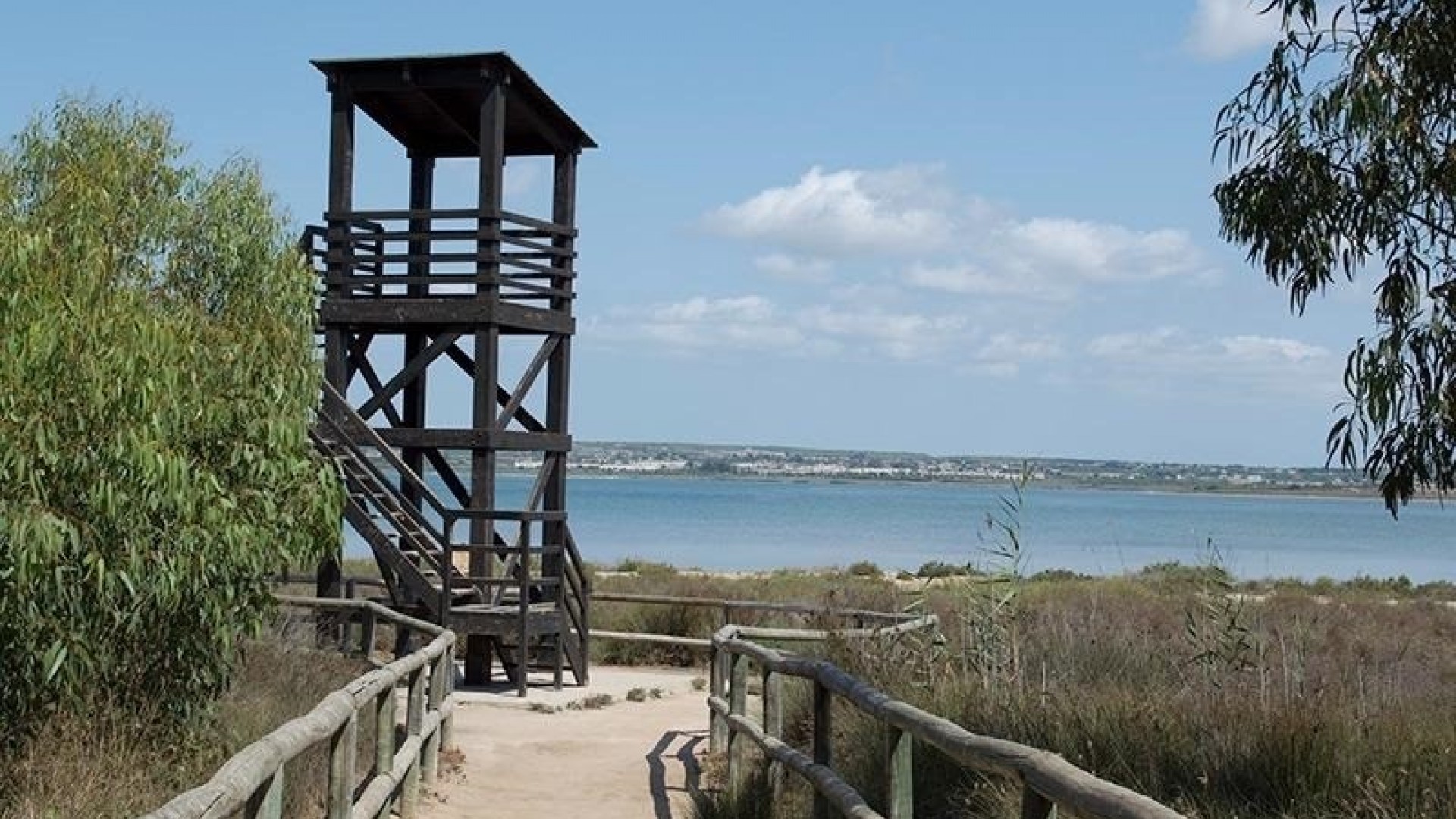 Återförsäljning - Lägenhet lägenhet -
La Mata - La Mata - Town