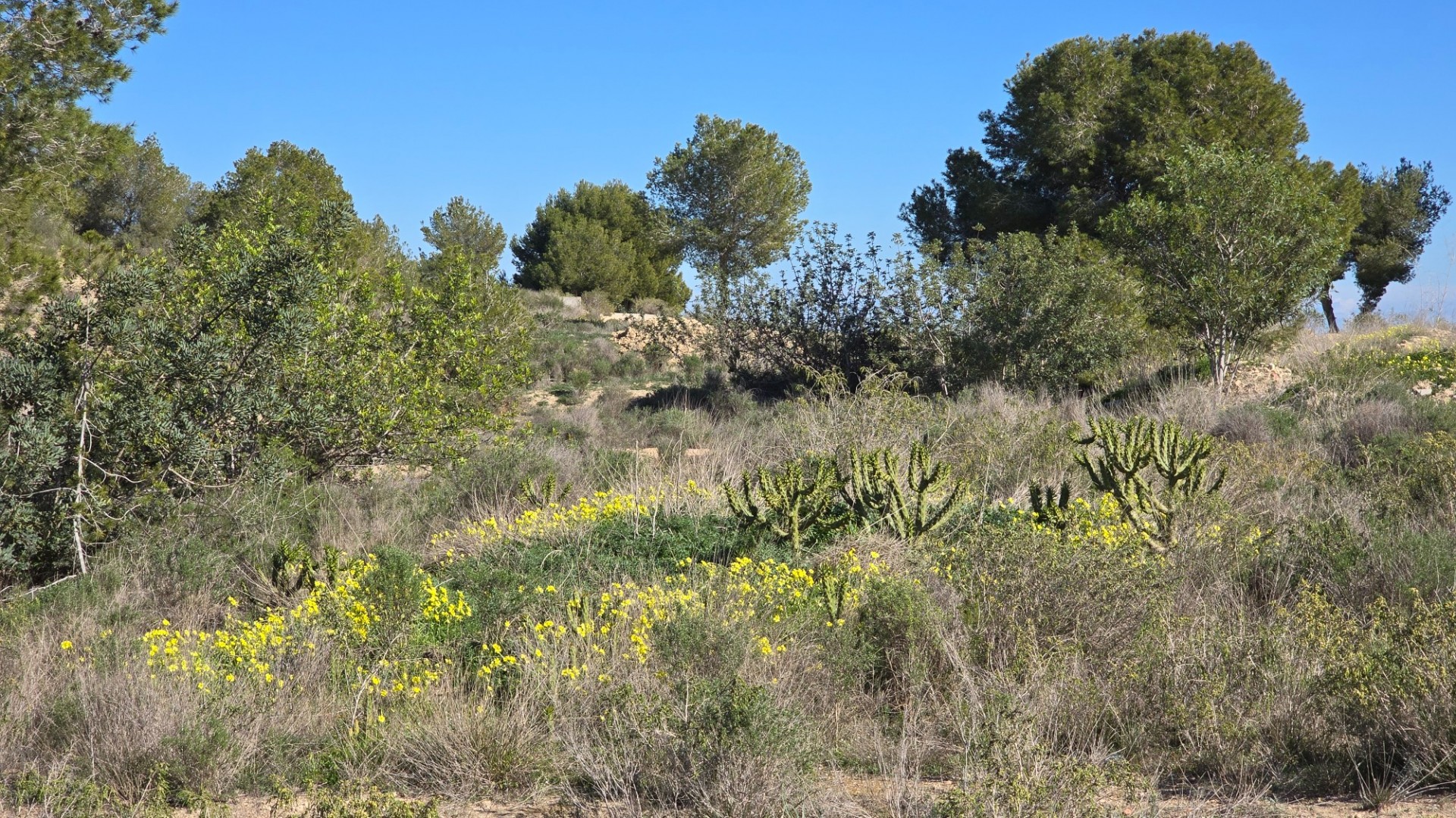 Återförsäljning - Lägenhet lägenhet -
Orihuela Costa - Villamartin