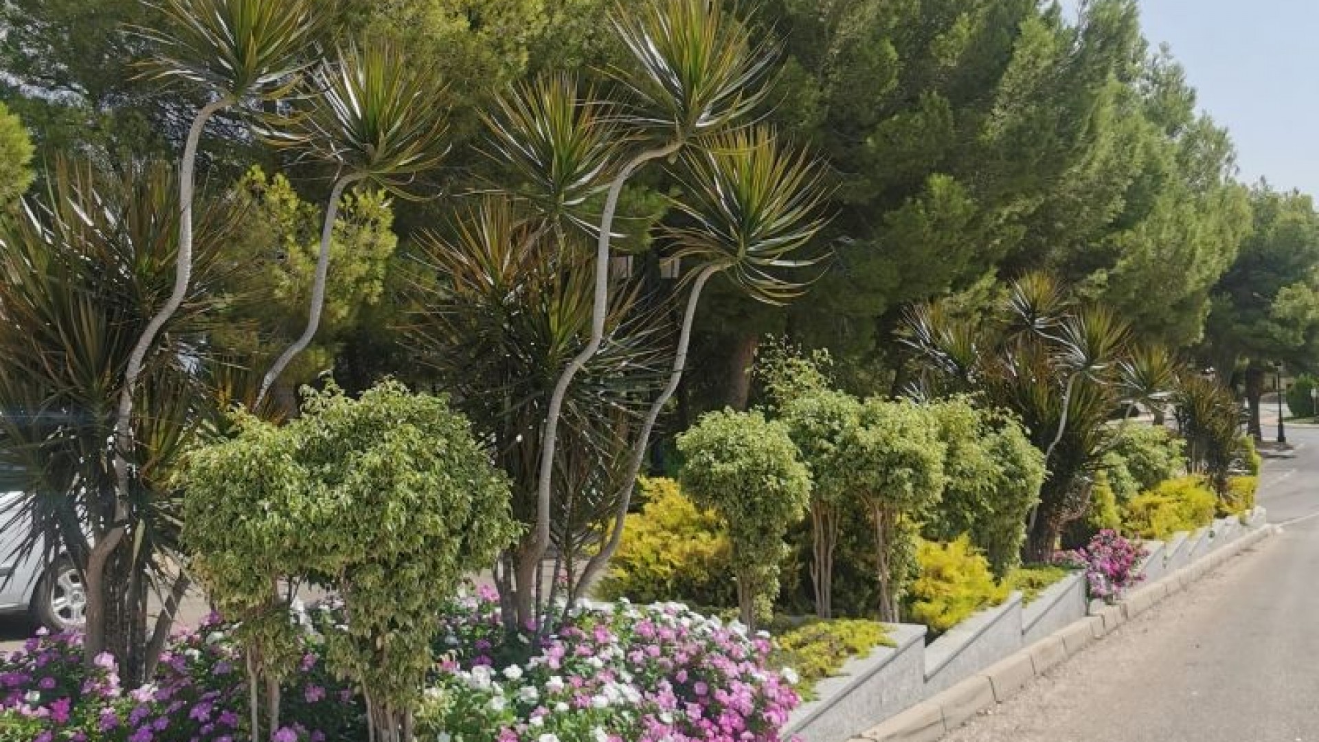 Återförsäljning - Lägenhet lägenhet -
Orihuela Costa