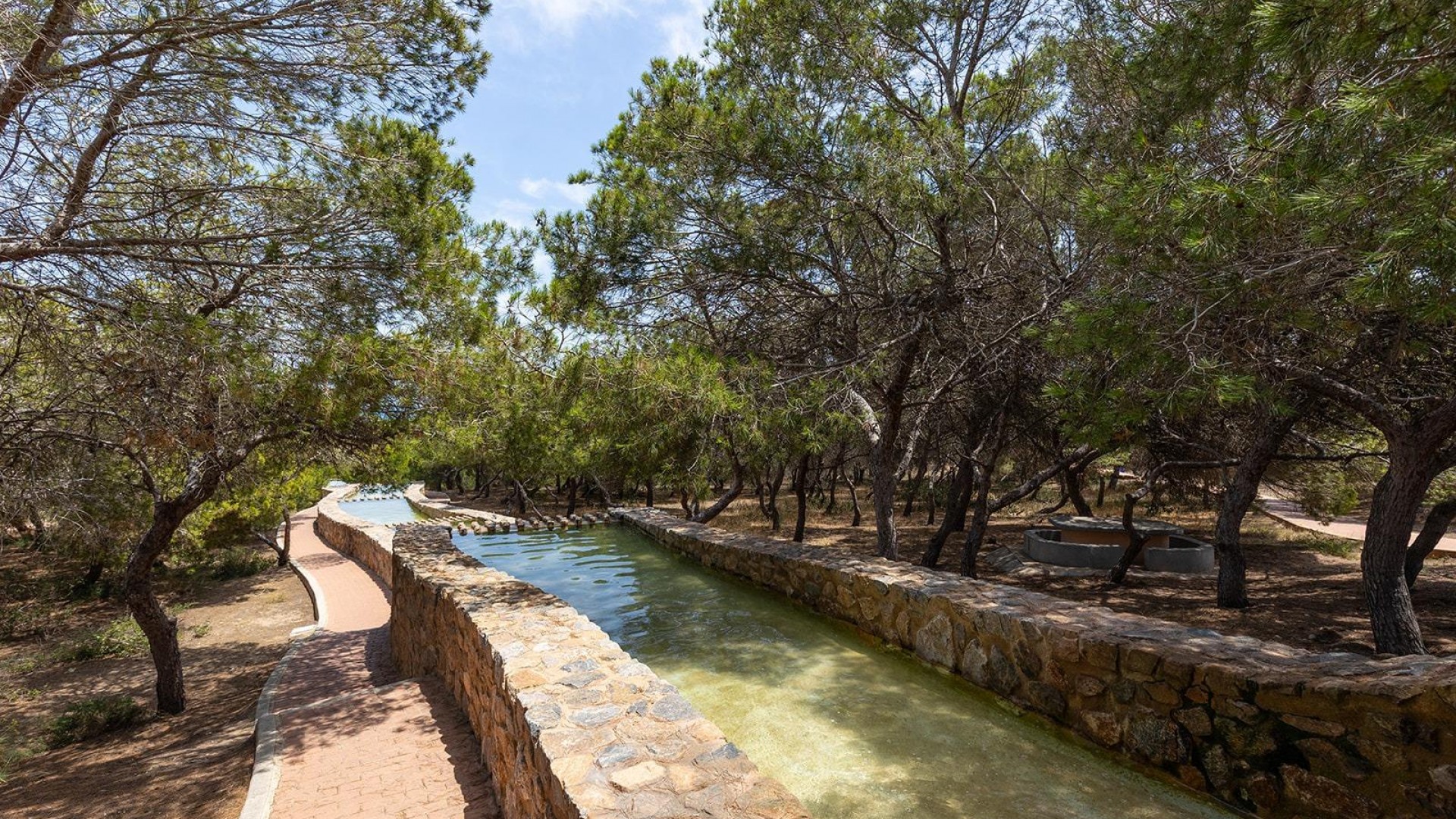 Återförsäljning - Lägenhet lägenhet -
Torrevieja - Cañada del Molino