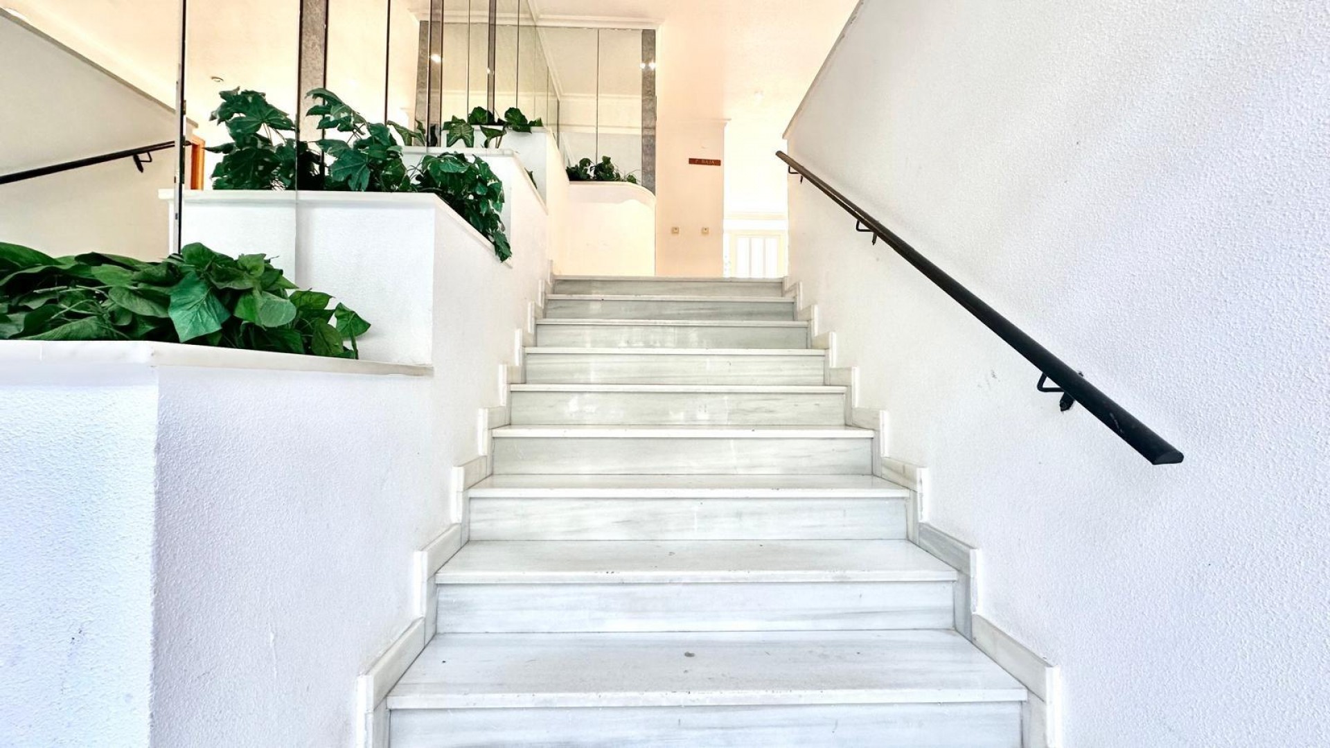 Återförsäljning - Lägenhet lägenhet -
Torrevieja - Centro