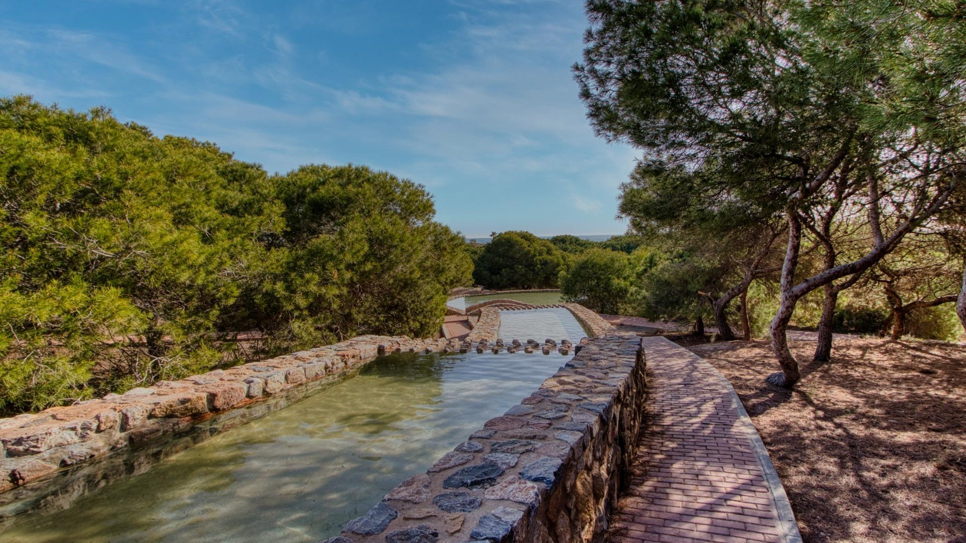Återförsäljning - Lägenhet lägenhet -
Torrevieja - Paseo maritimo