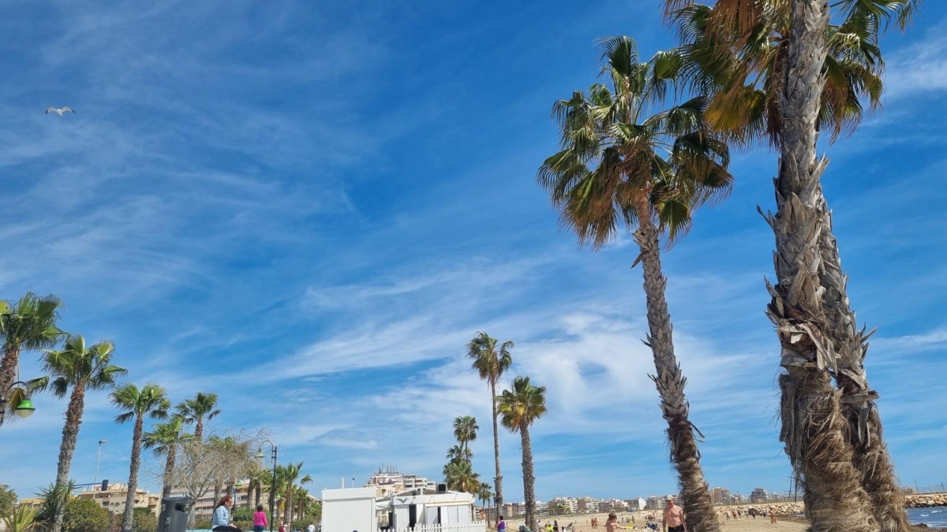 Återförsäljning - Lägenhet lägenhet -
Torrevieja - Playa de los Naufragos
