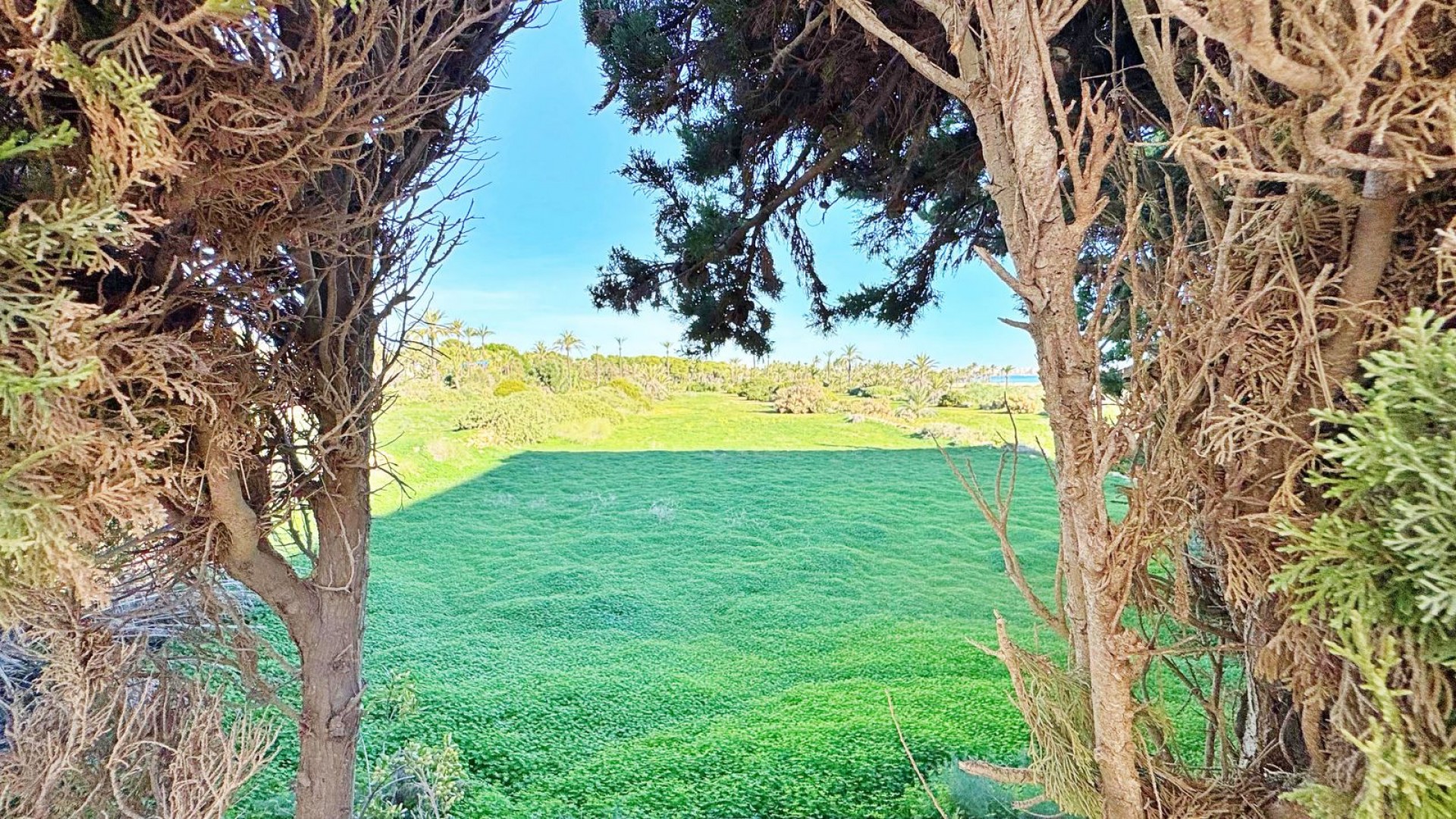 Återförsäljning - Lägenhet lägenhet -
Torrevieja - Rocio del mar
