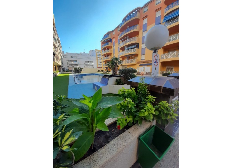 Återförsäljning - Lägenhet lägenhet -
Torrevieja