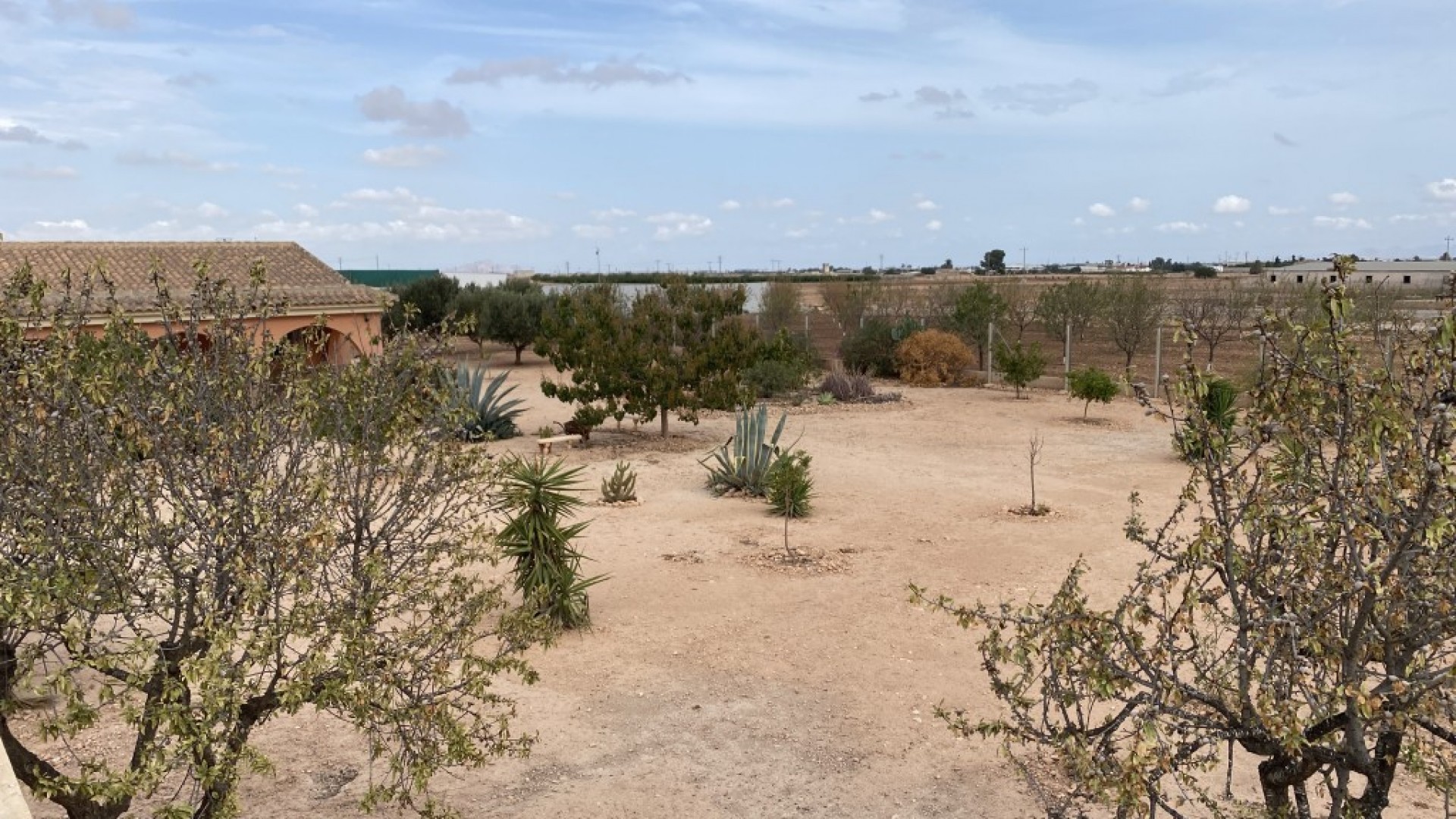 Återförsäljning - Radhus -
Fuente Álamo