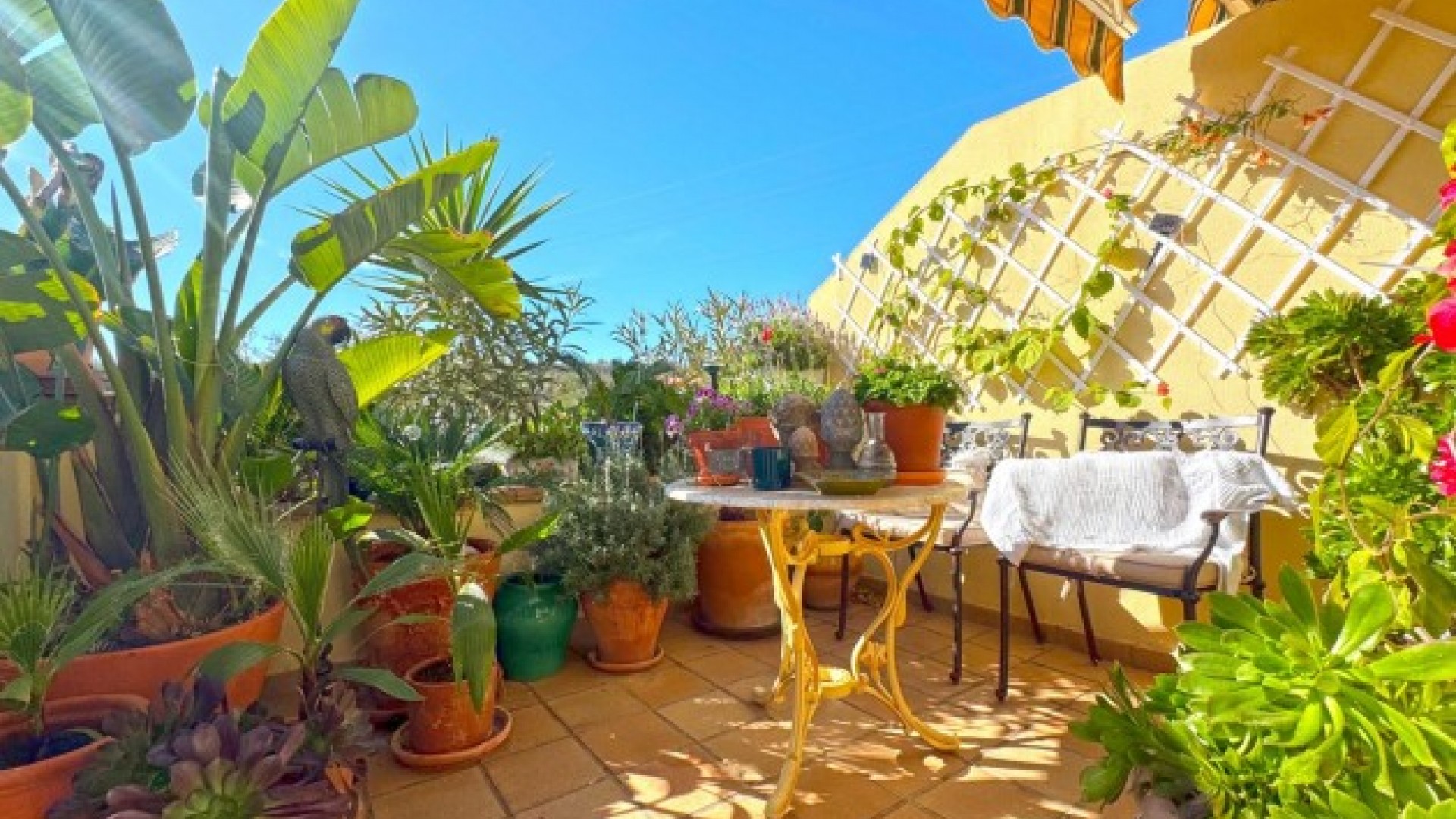 Återförsäljning - Villa i parhus -
Orihuela Costa - 0